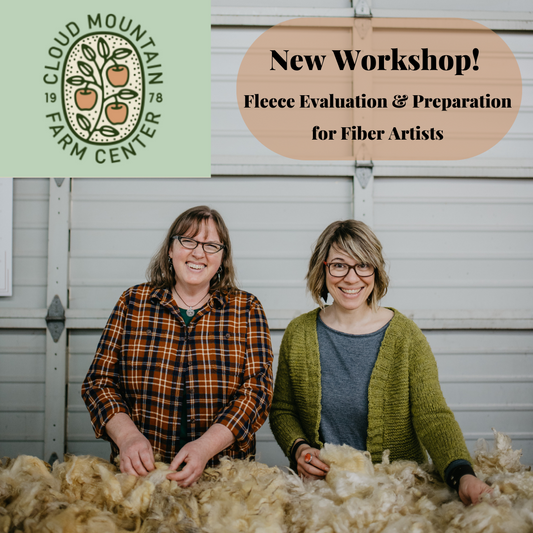 New Workshop! Fleece Evaluation & Preparation for Fiber Artists