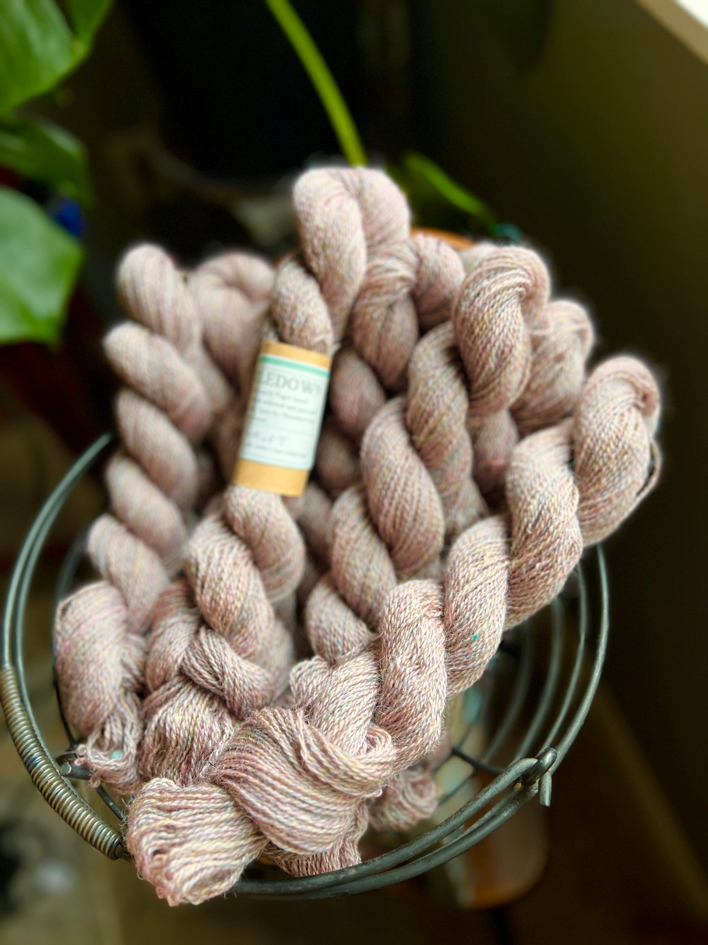 Thistledown Yarn - Autumn '23 Collection