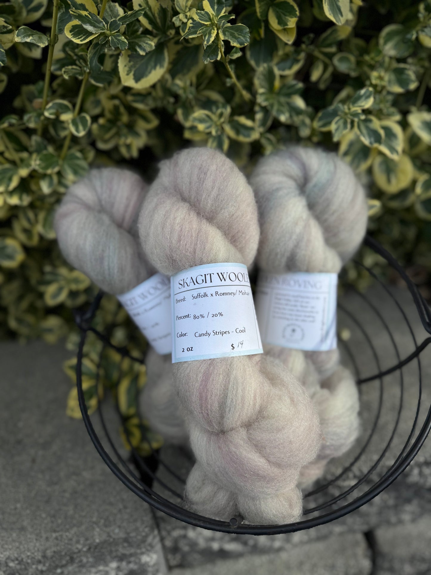 Dyed / Blended Roving - Limited Edition Colors