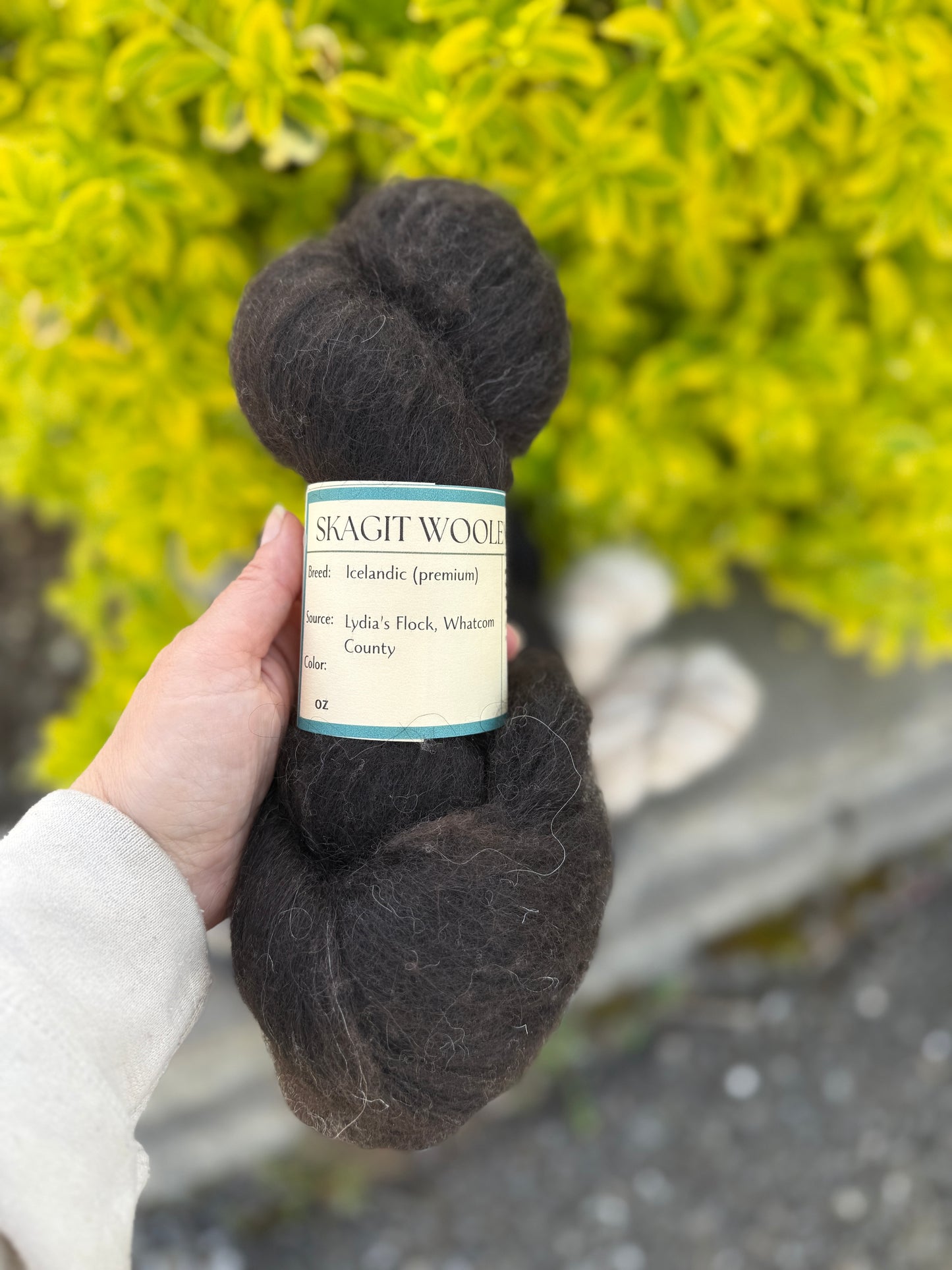 Skagit Woolen Roving