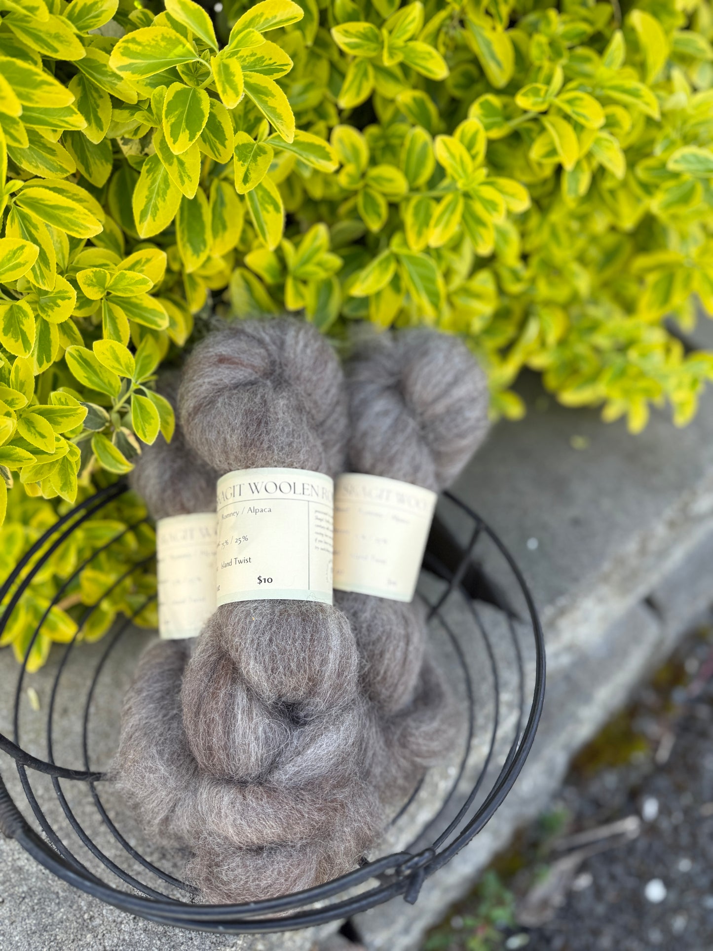 Skagit Woolen Roving