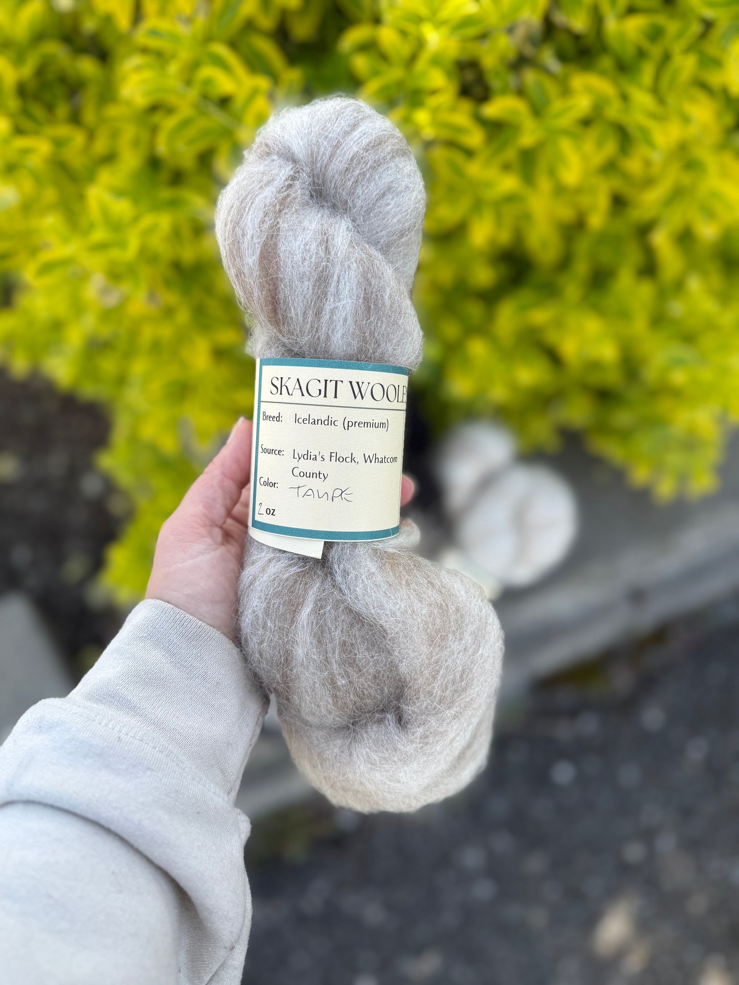 Skagit Woolen Roving
