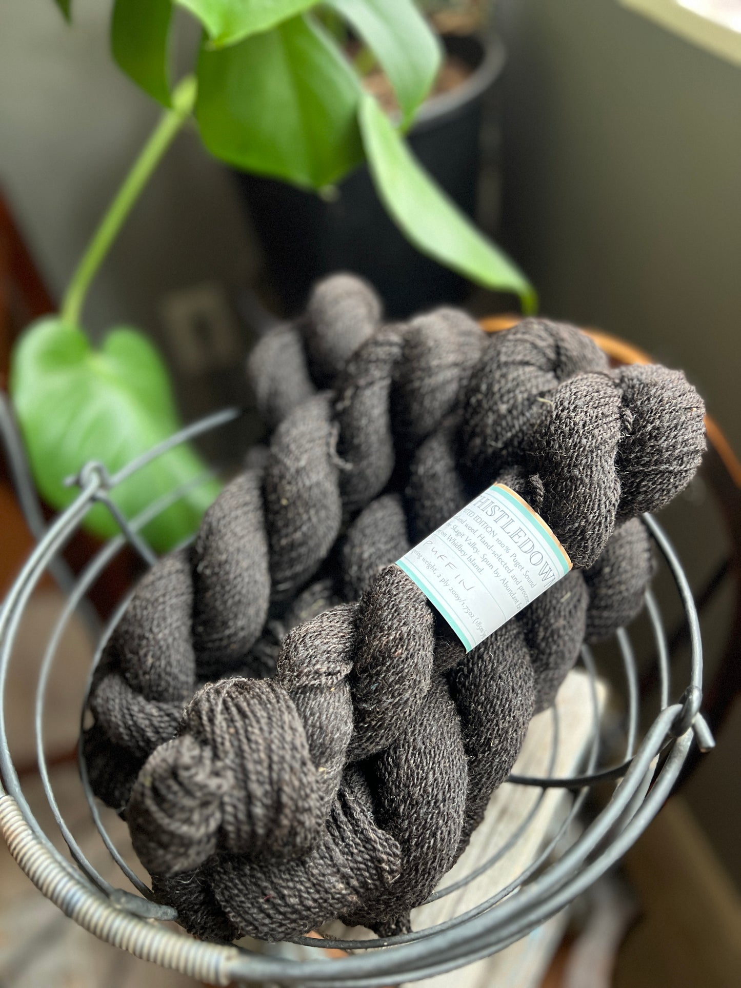 Thistledown Yarn - Autumn '23 Collection