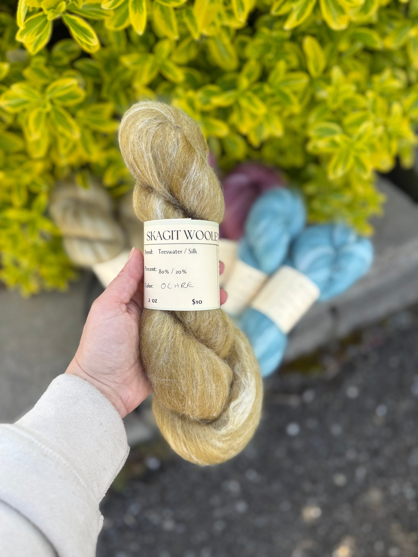 Dyed / Blended Roving - Limited Edition Colors