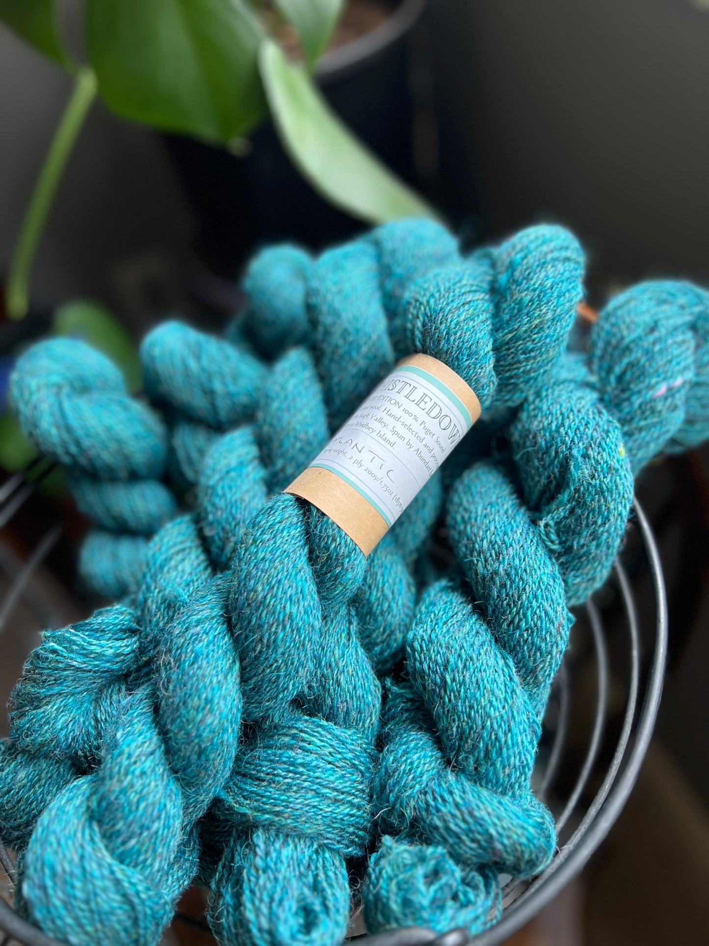 Thistledown Yarn - Autumn '23 Collection