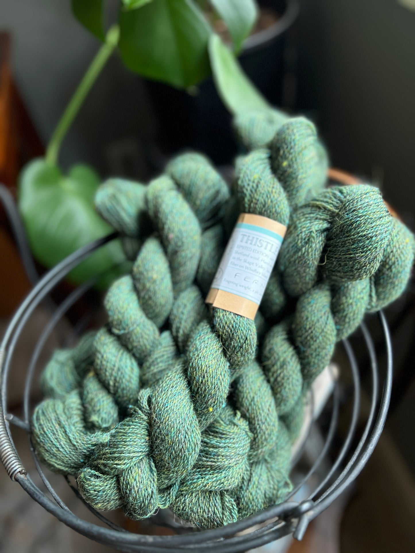 Thistledown Yarn - Autumn '23 Collection