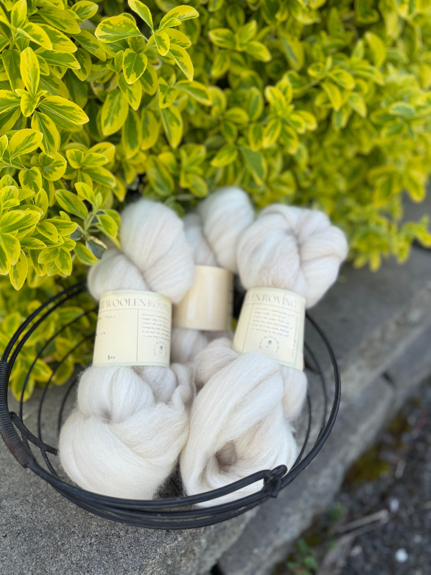 Skagit Woolen Roving