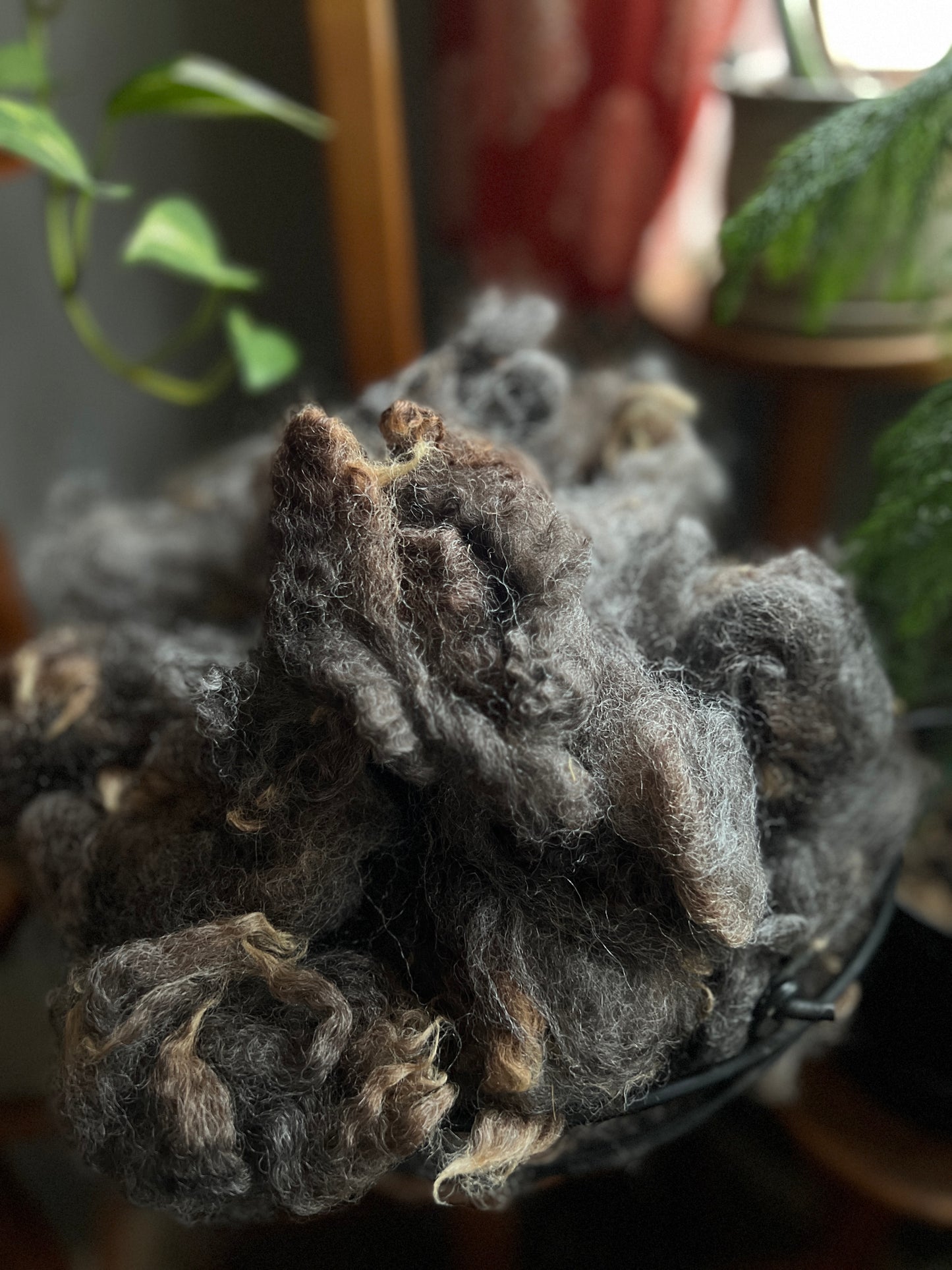Clean locks (1 oz)