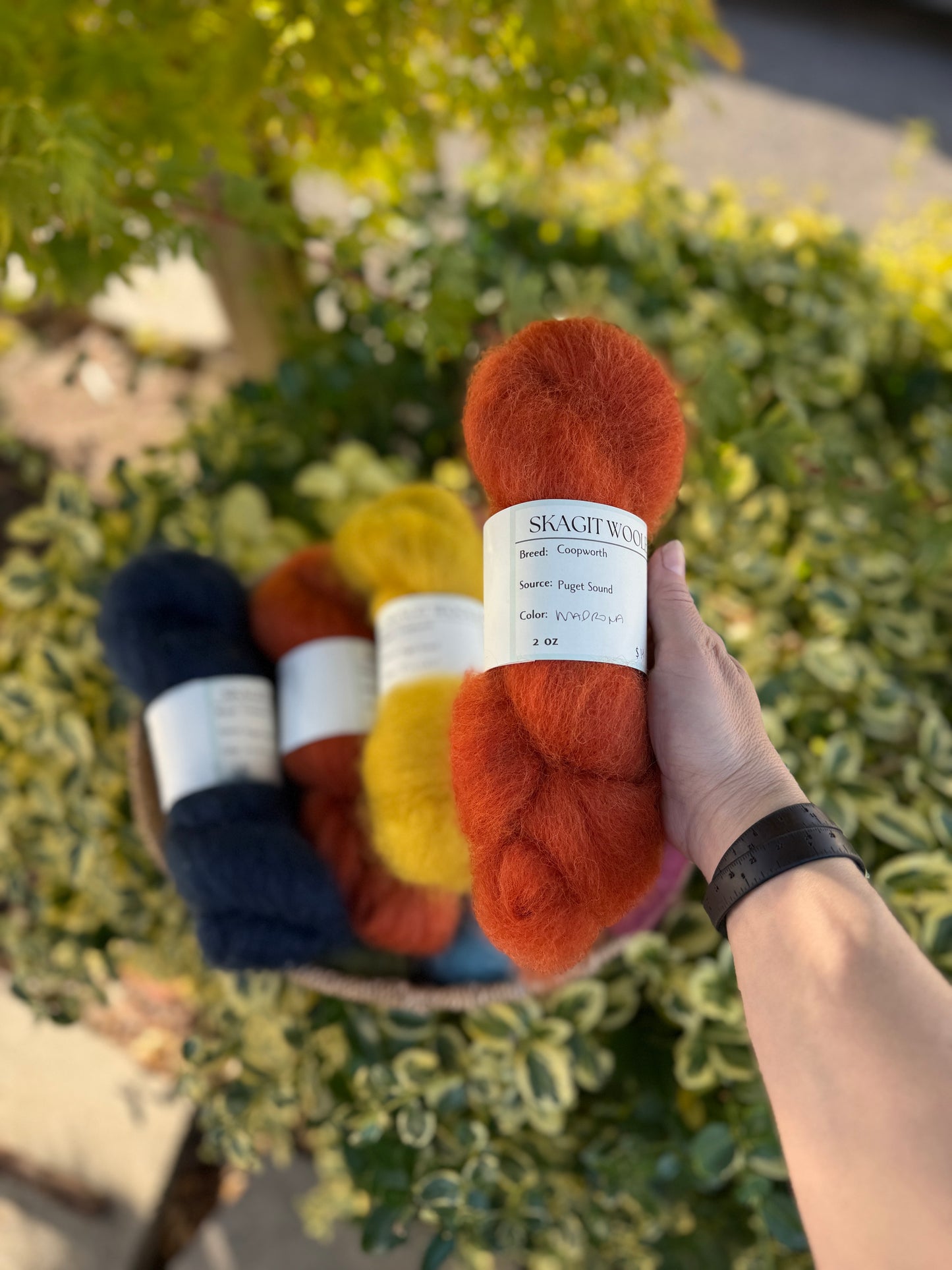 Dyed / Blended Roving - Limited Edition Colors