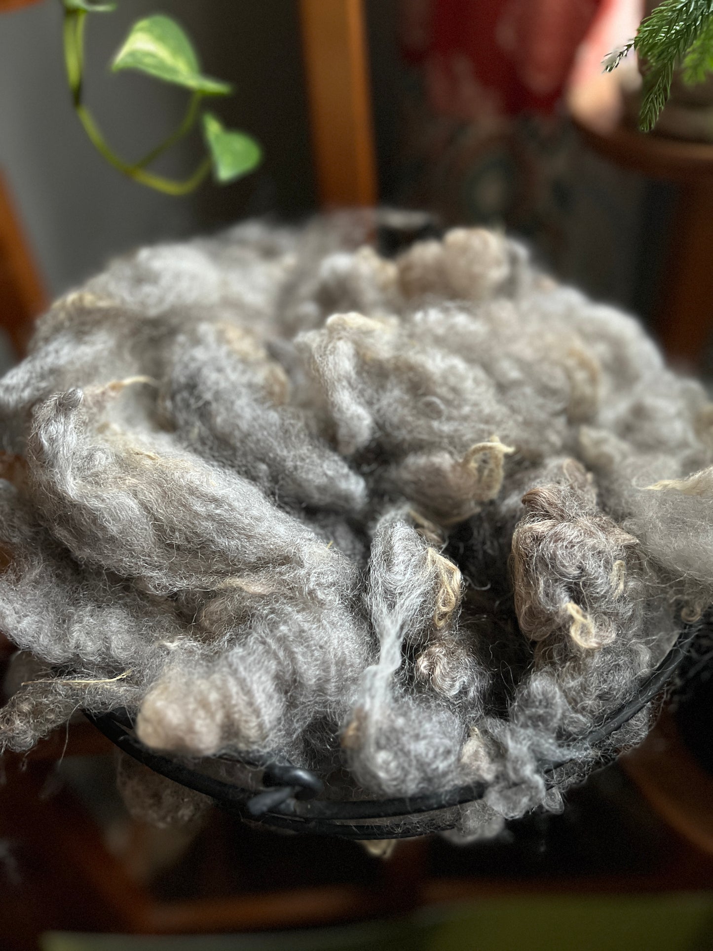 Clean locks (1 oz)