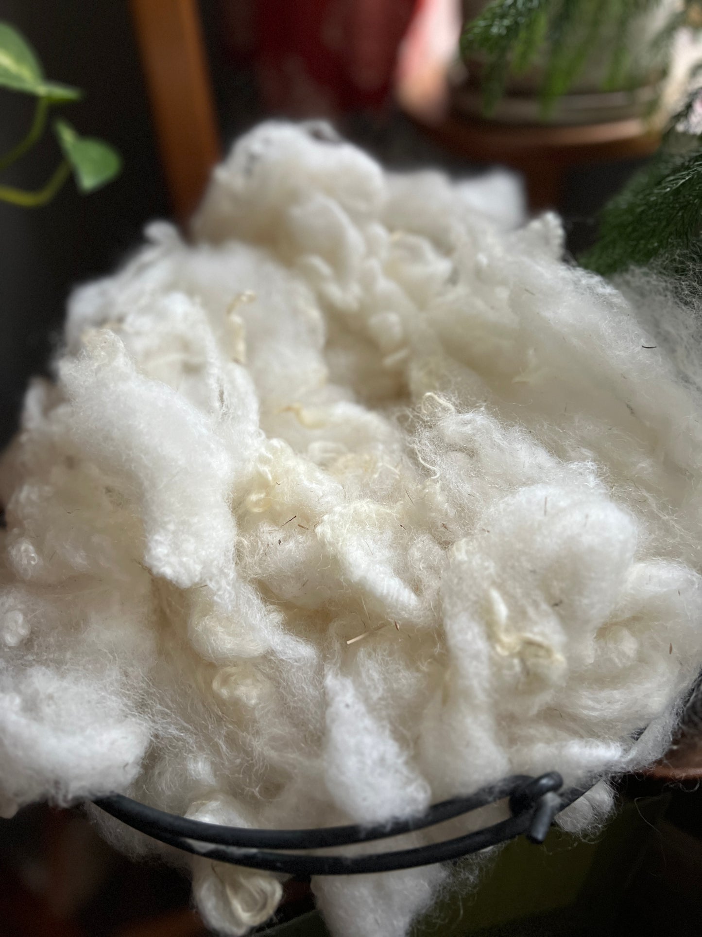 Clean locks (1 oz)