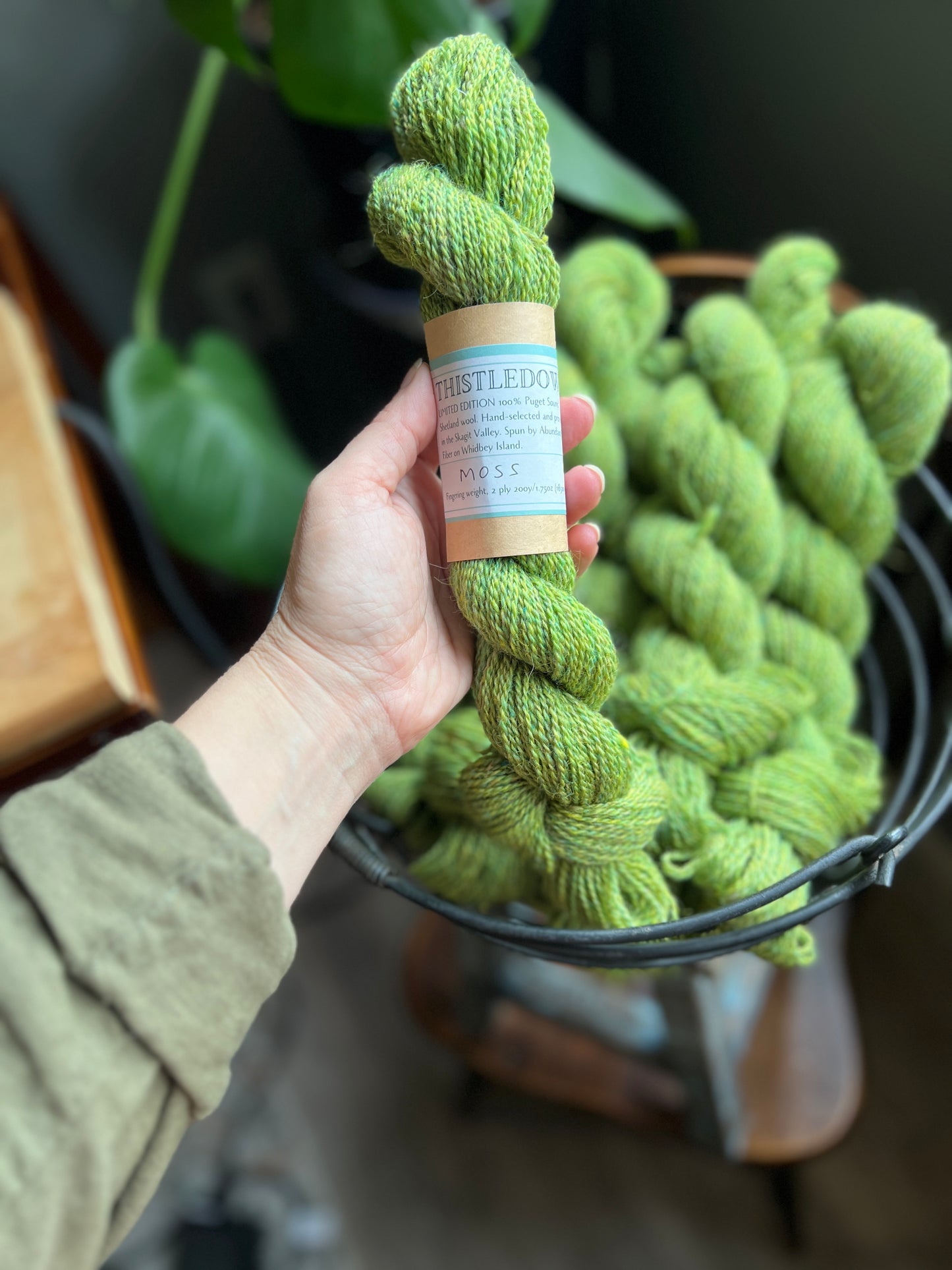 Thistledown Yarn - Autumn '23 Collection