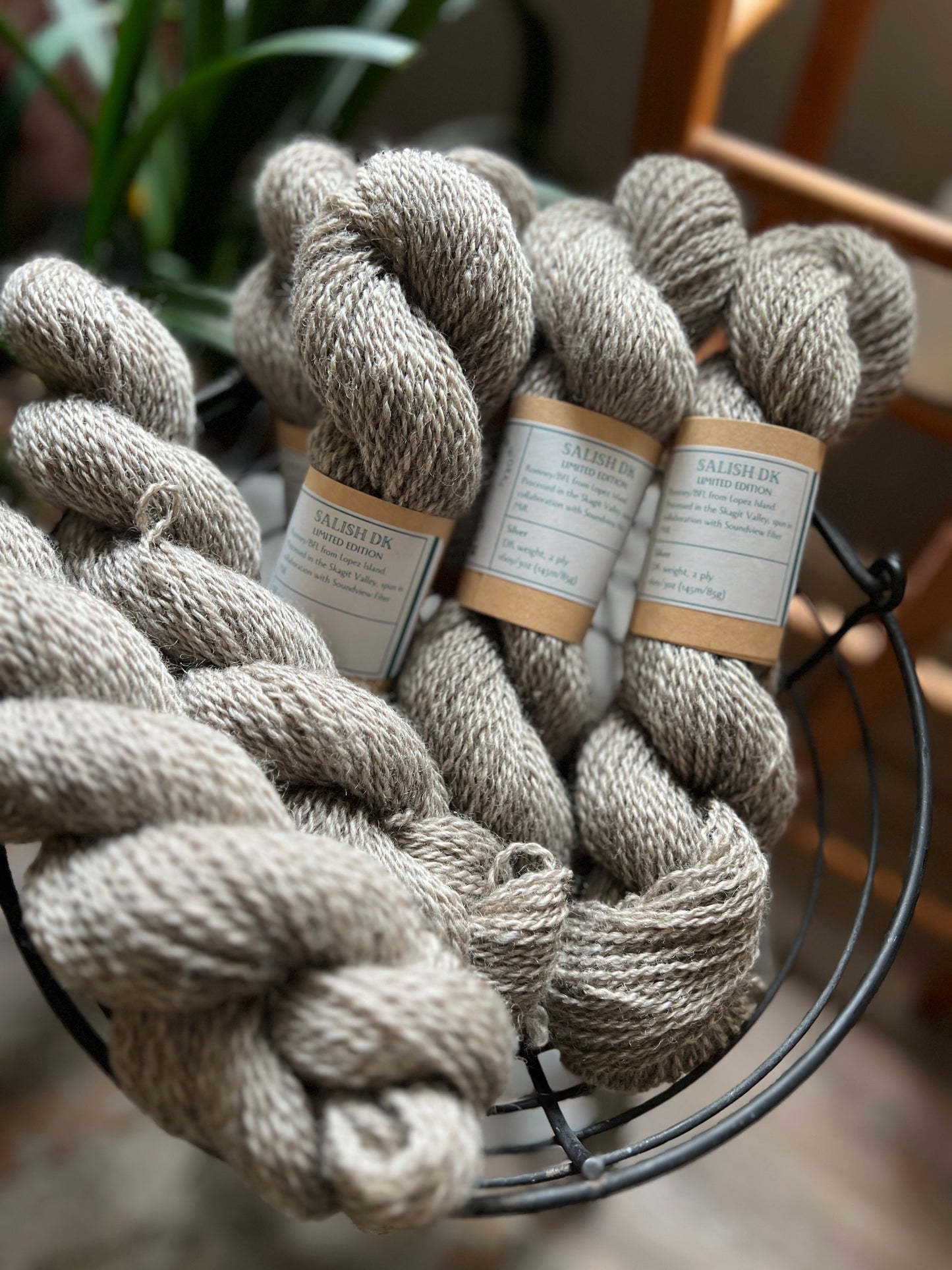 Salish DK - Limited Edition