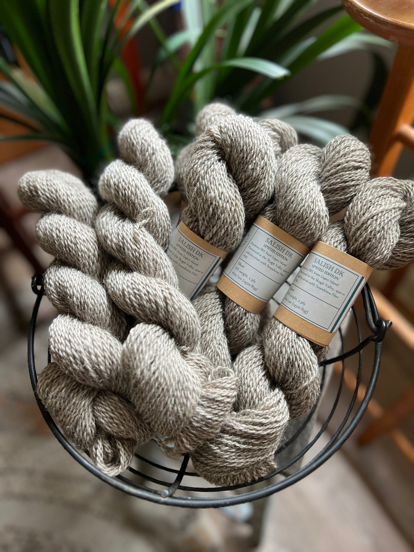 Salish DK - Limited Edition