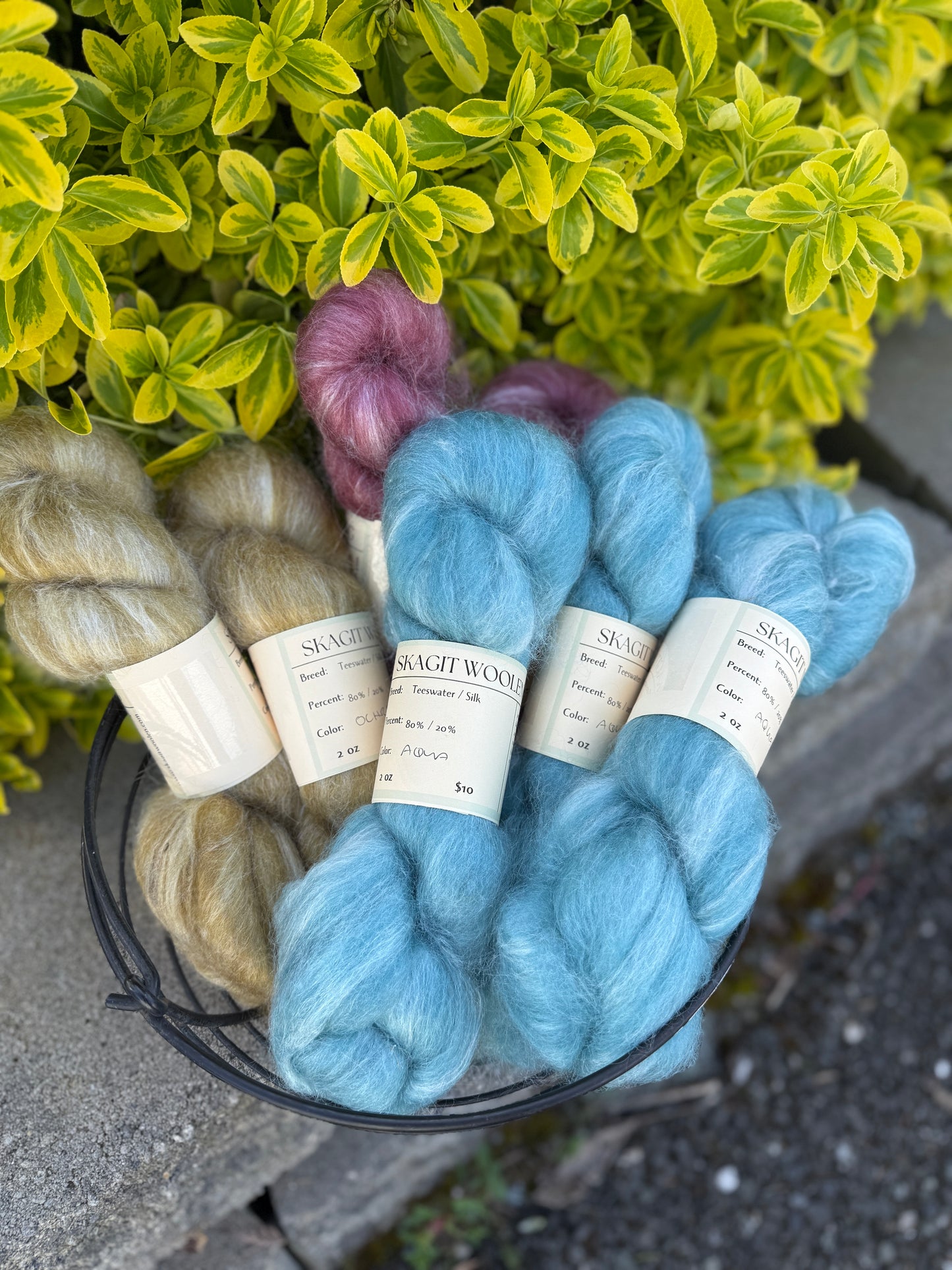 Dyed / Blended Roving - Limited Edition Colors