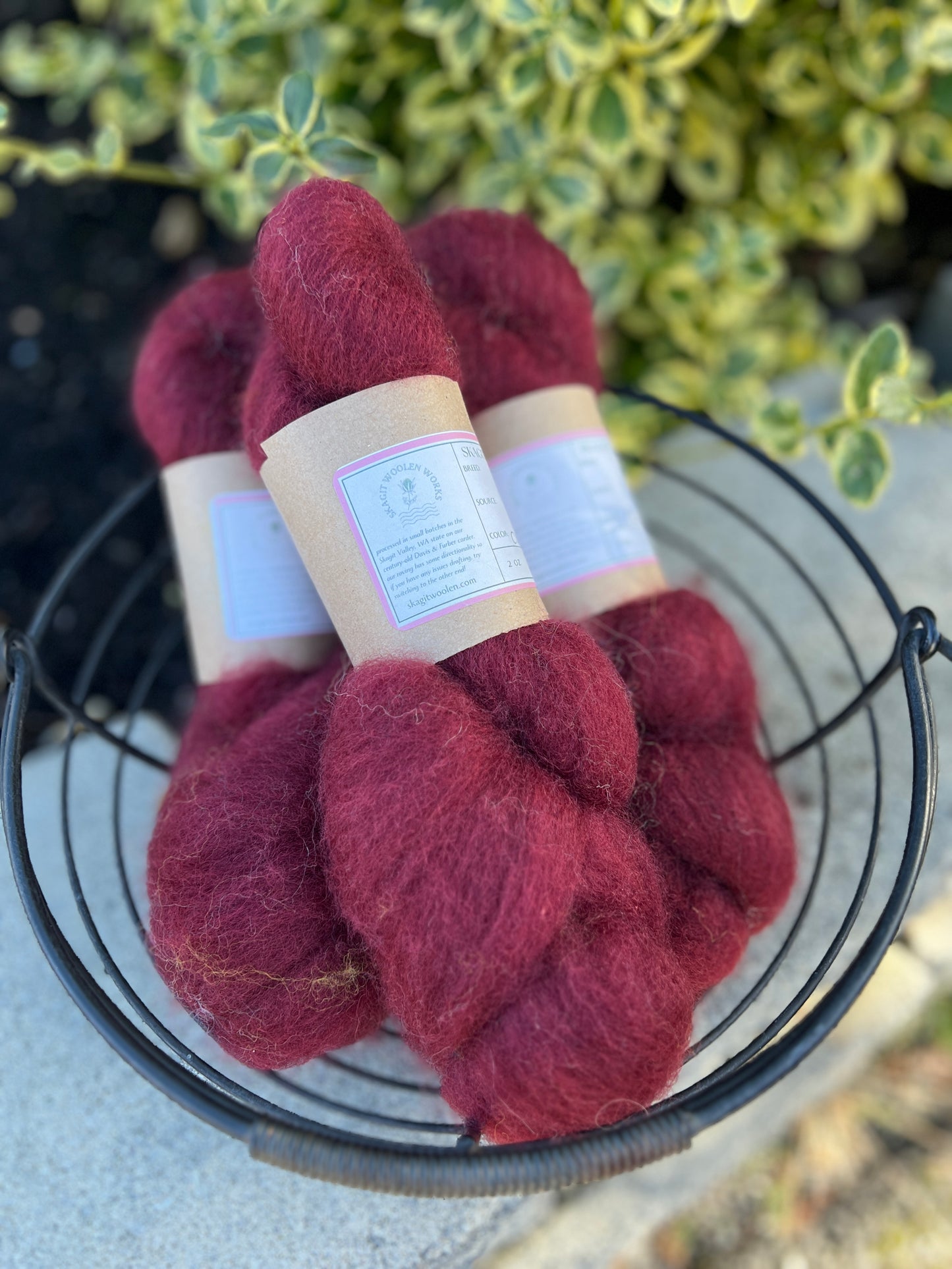 Dyed / Blended Roving - Limited Edition Colors