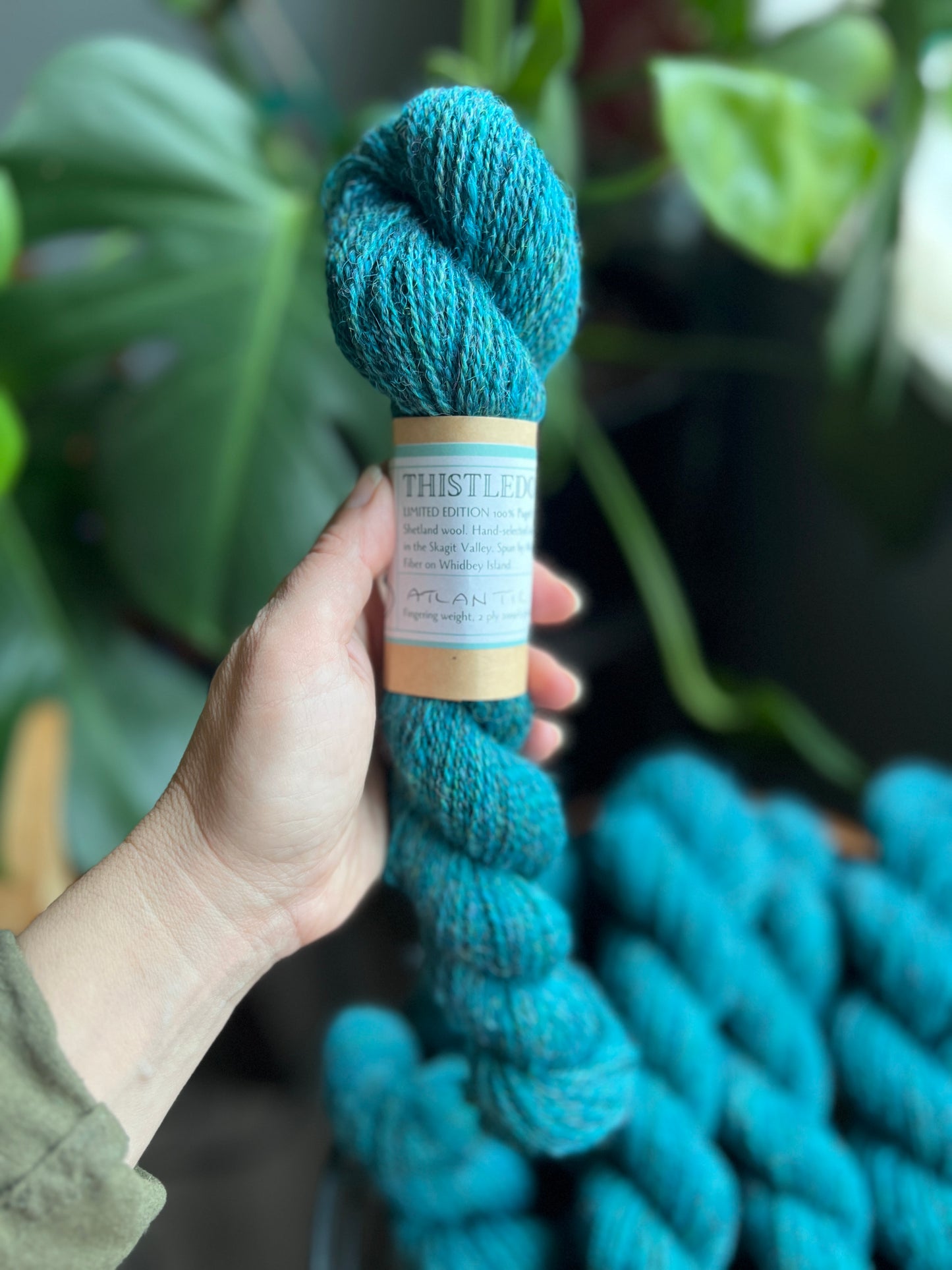 Thistledown Yarn - Autumn '23 Collection