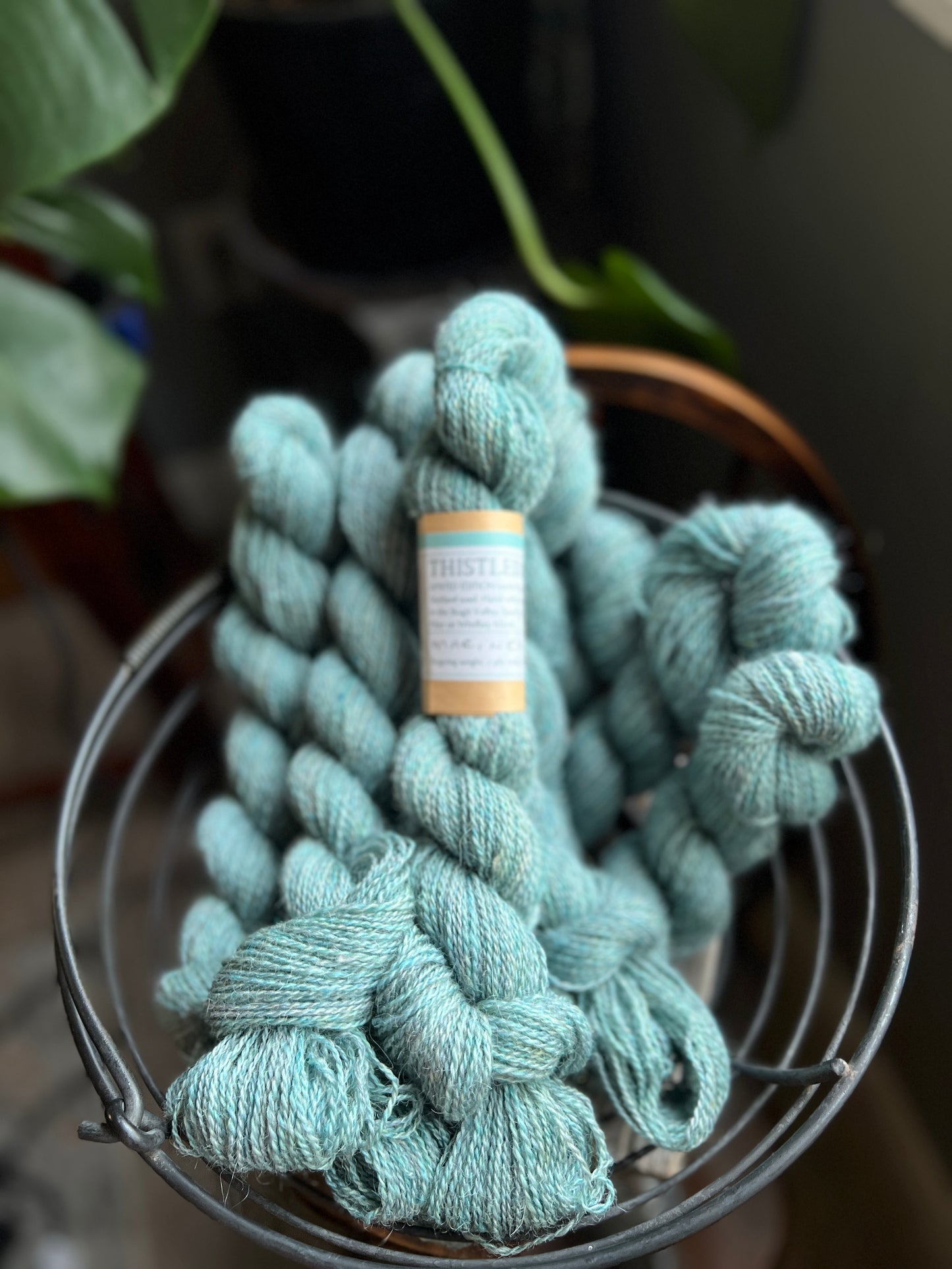 Thistledown Yarn - Autumn '23 Collection