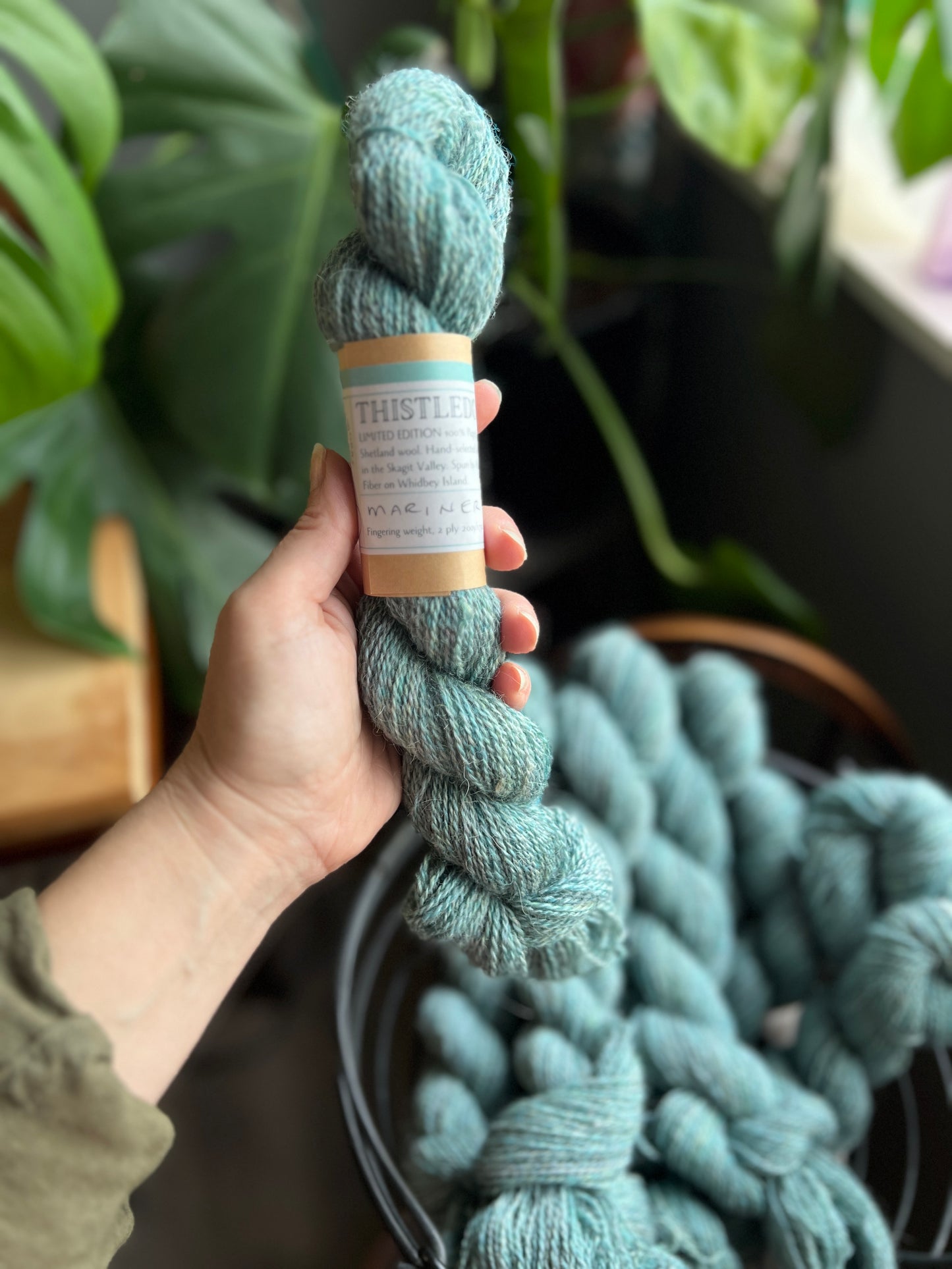Thistledown Yarn - Autumn '23 Collection