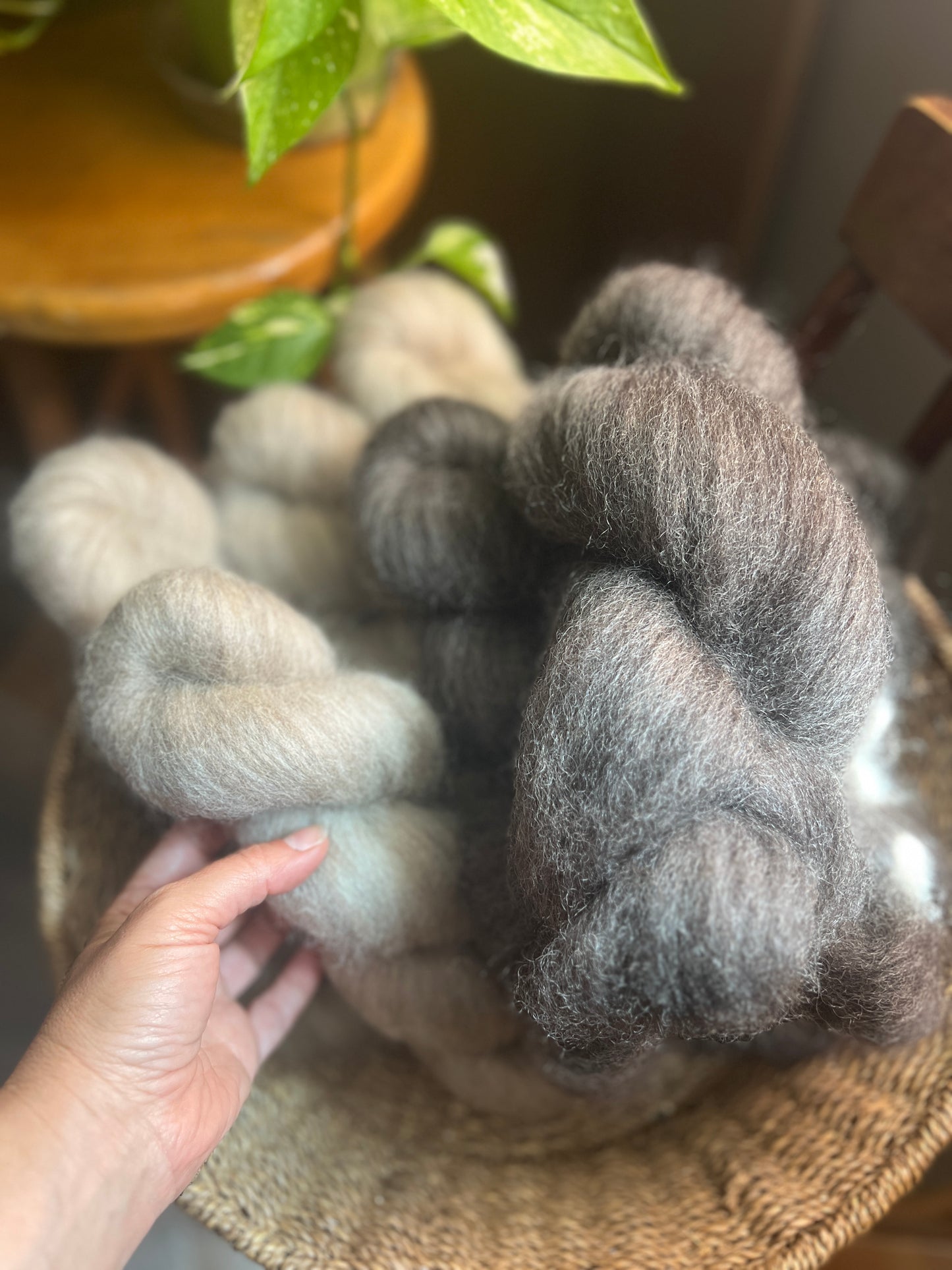 Skagit Woolen Roving