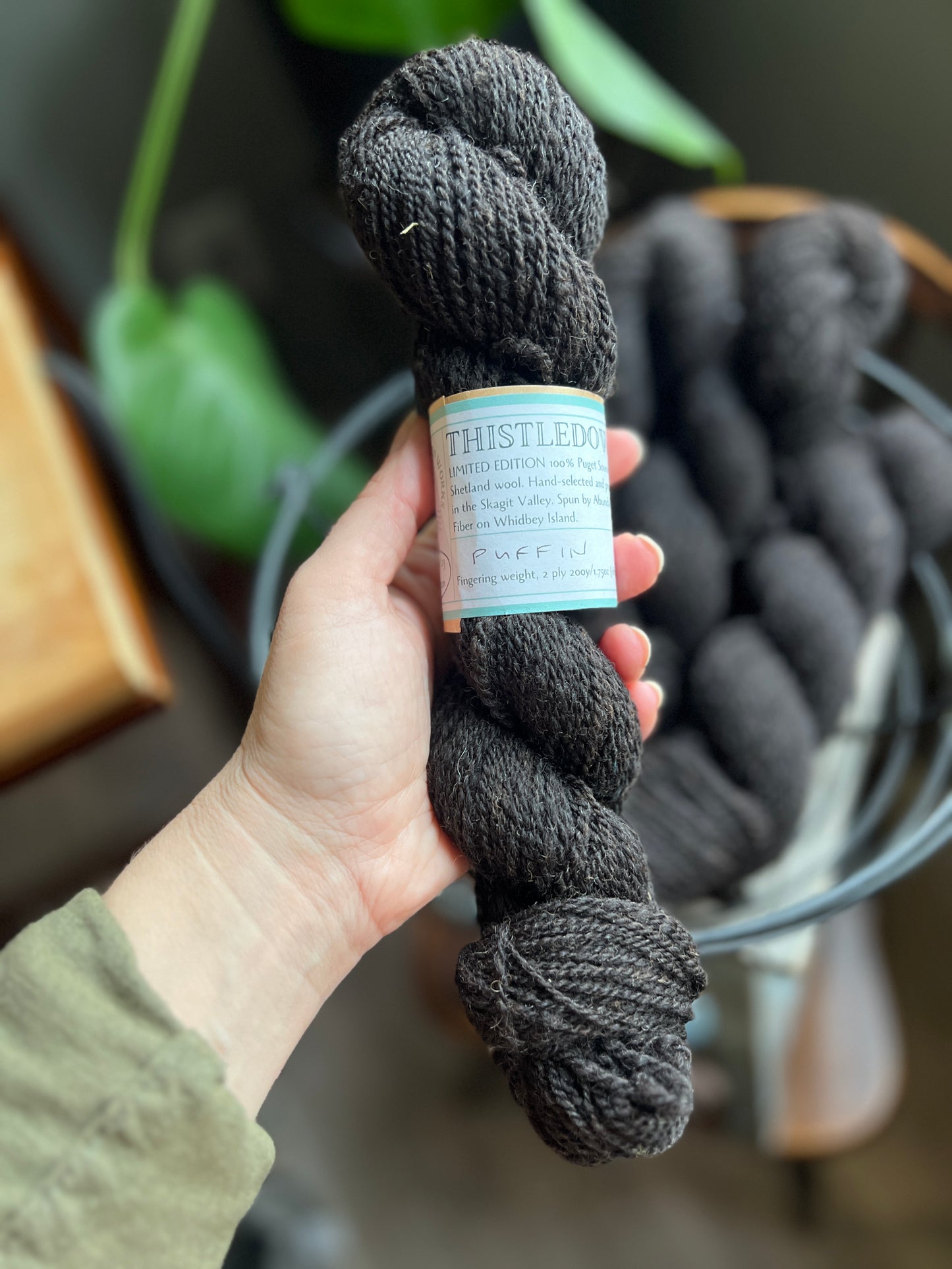 Thistledown Yarn - Autumn '23 Collection