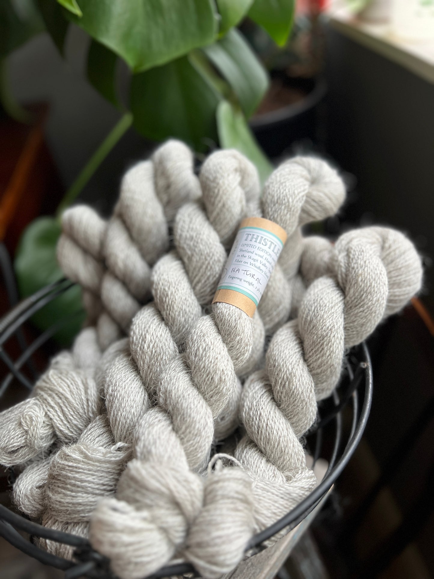 Thistledown Yarn - Autumn '23 Collection