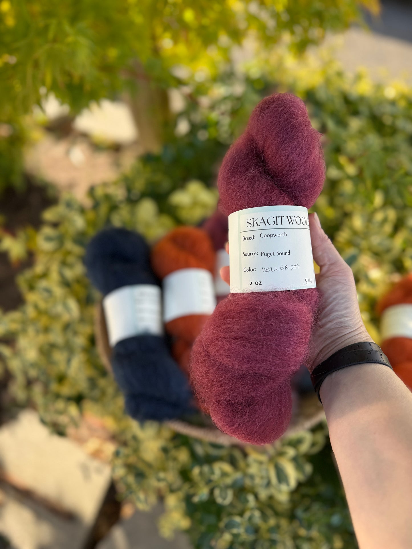 Dyed / Blended Roving - Limited Edition Colors