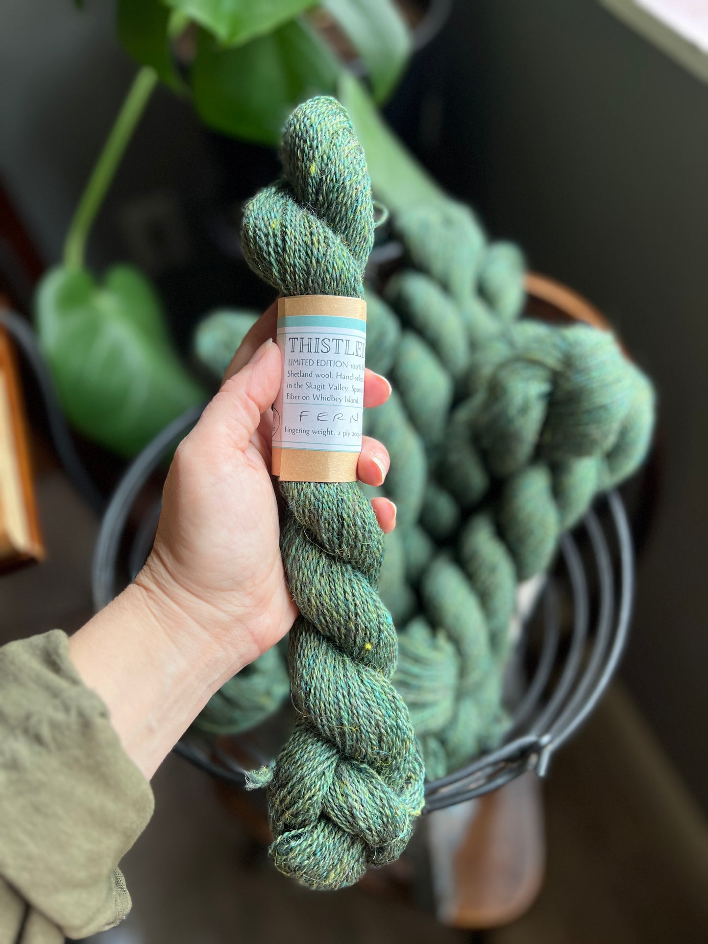 Thistledown Yarn - Autumn '23 Collection