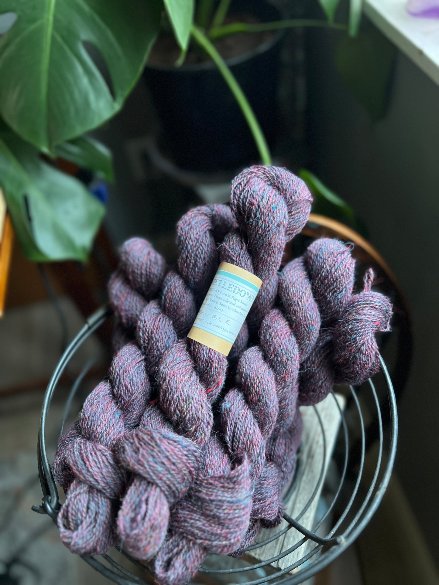 Thistledown Yarn - Autumn '23 Collection