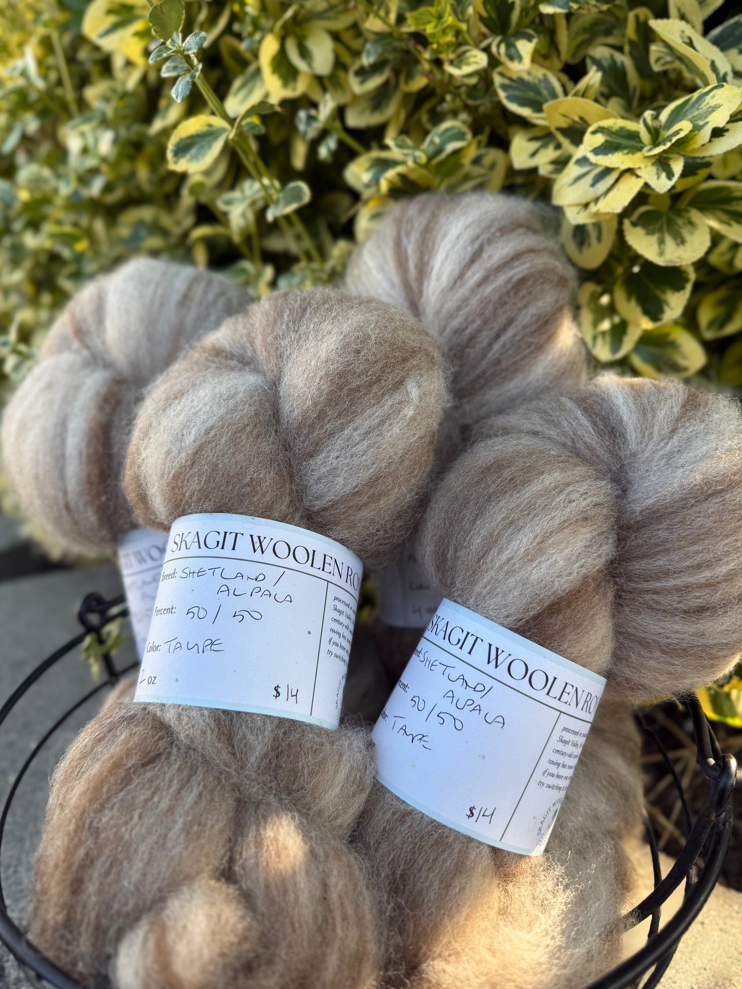 Skagit Woolen Roving
