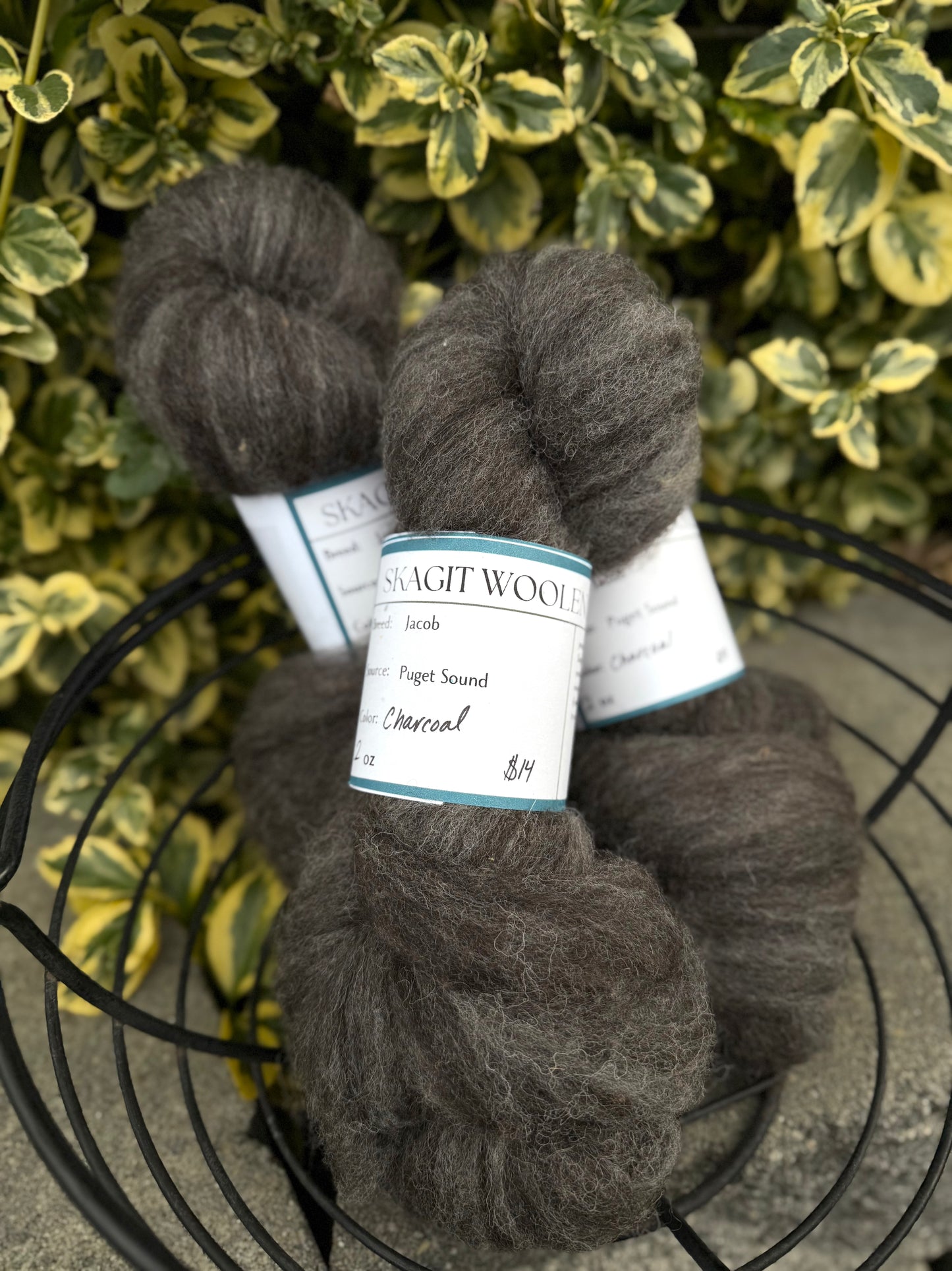 Skagit Woolen Roving