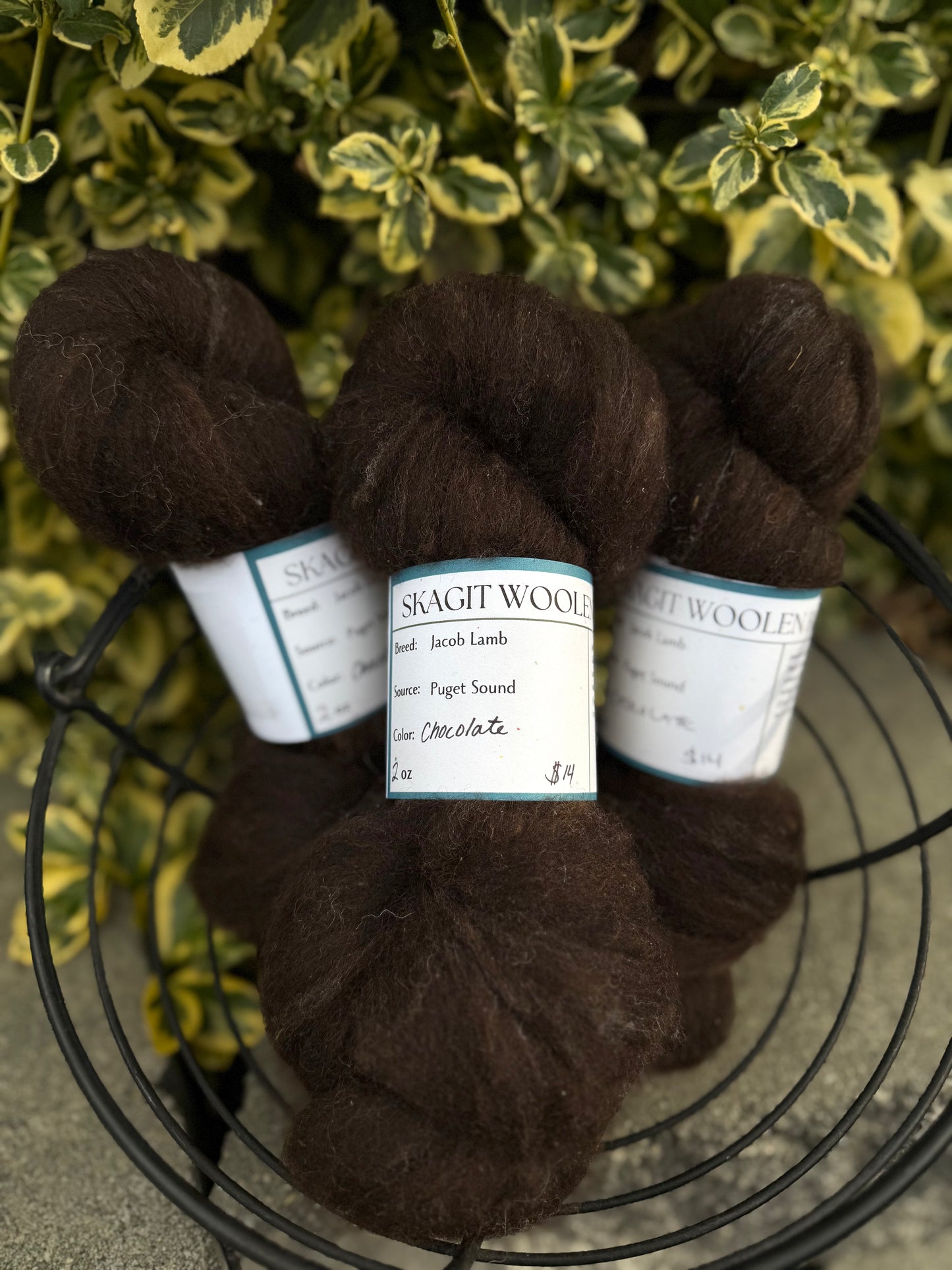 Skagit Woolen Roving