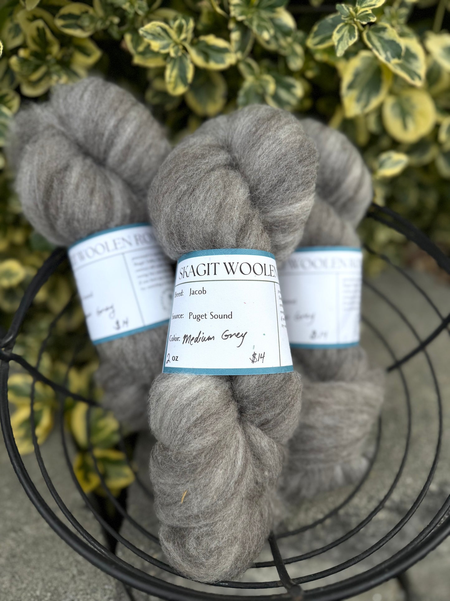 Skagit Woolen Roving