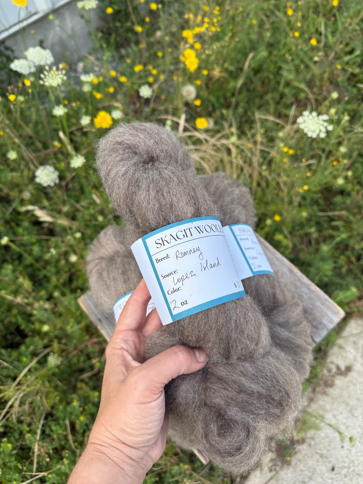 Skagit Woolen Roving