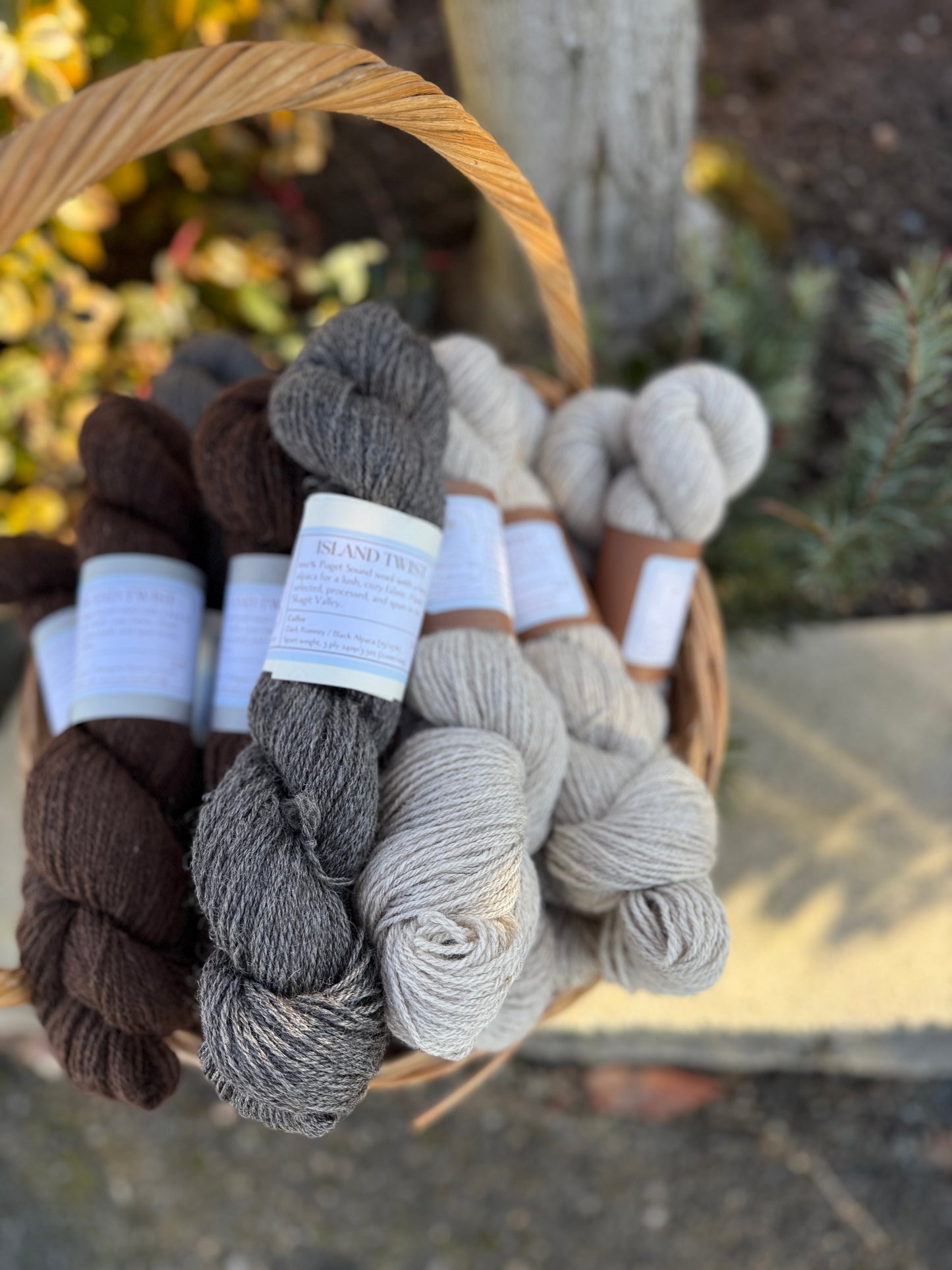 Island Twist Yarn