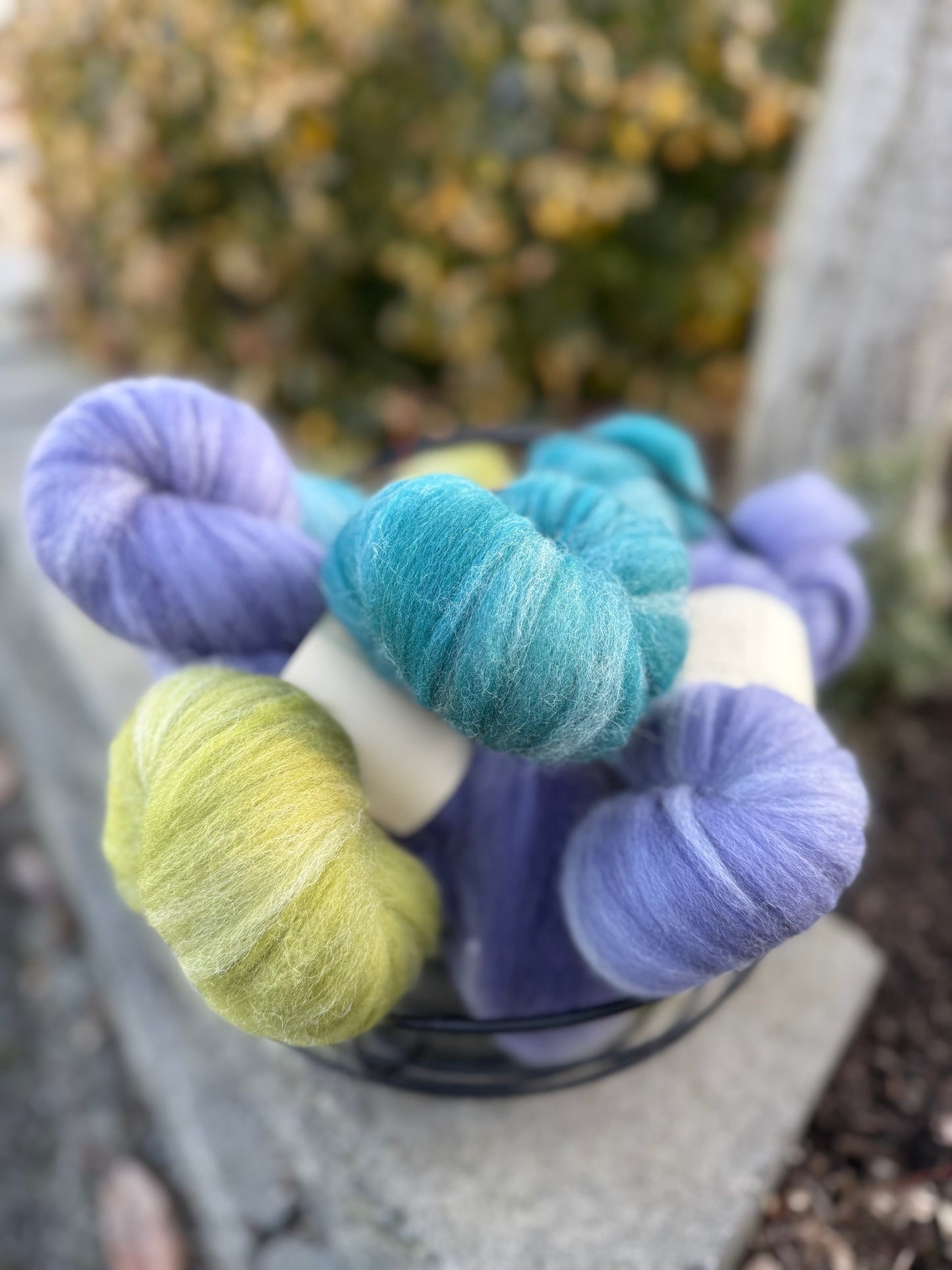 Dyed / Blended Roving - Limited Edition Colors