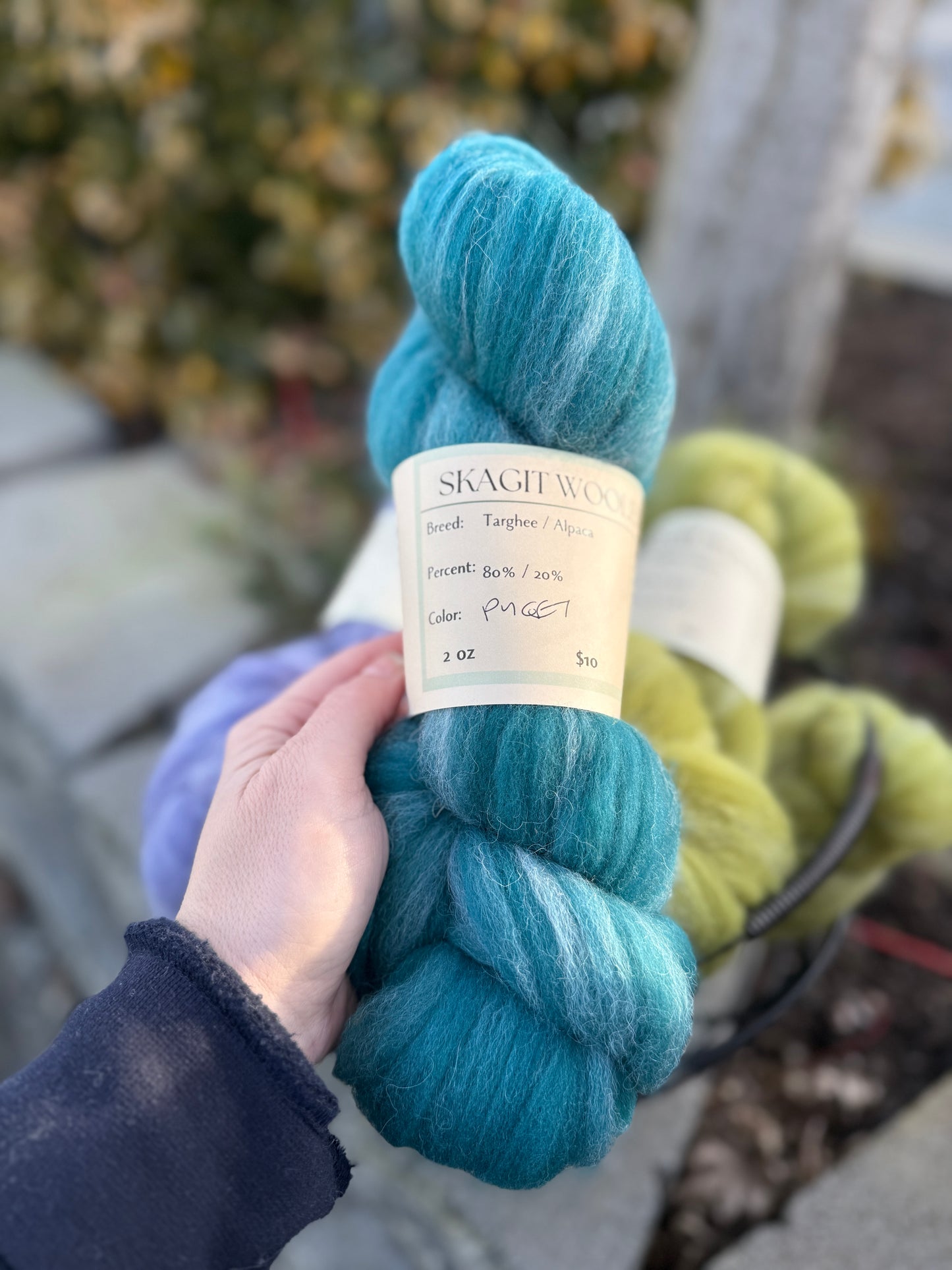 Dyed / Blended Roving - Limited Edition Colors