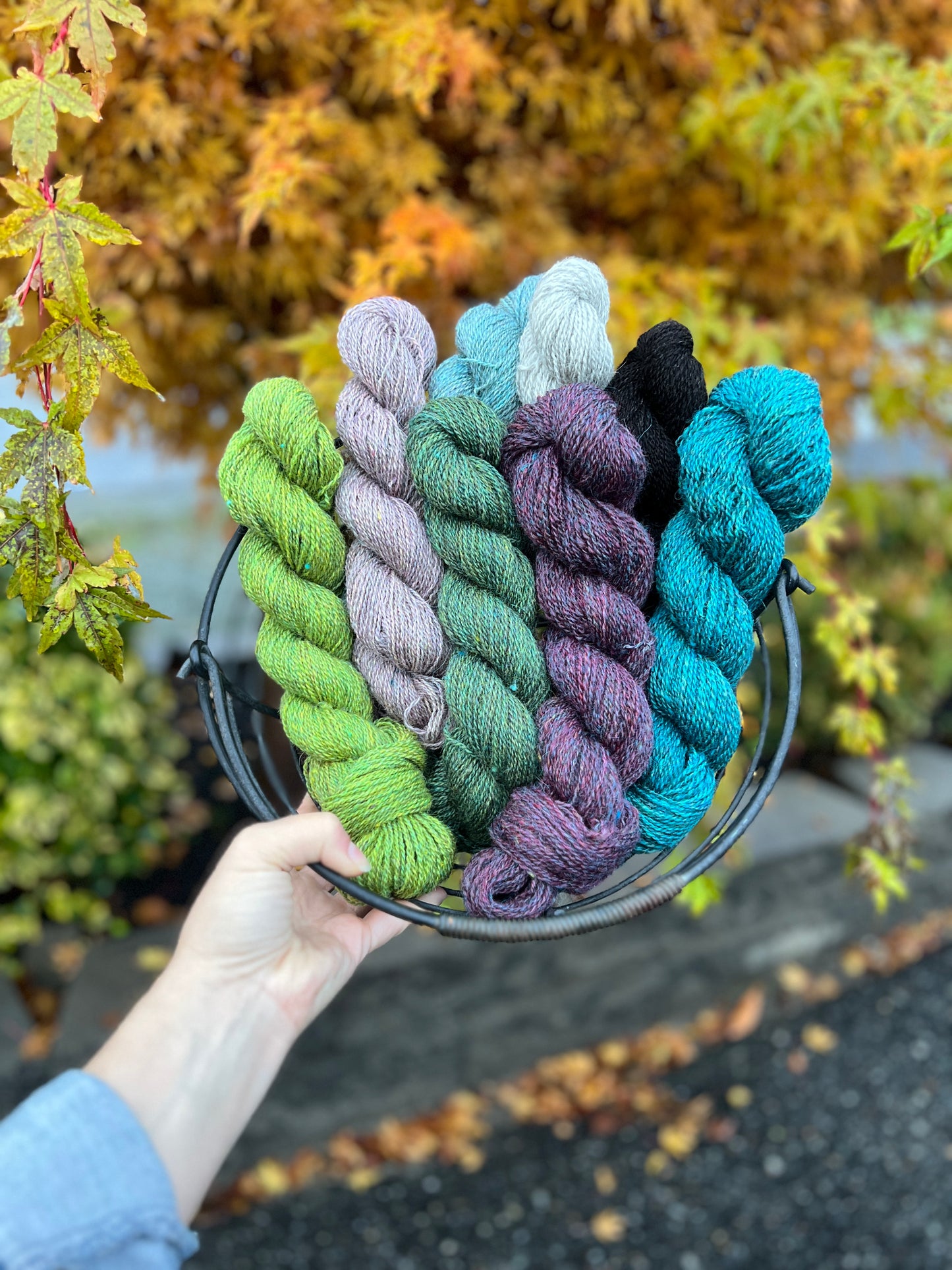 Thistledown Yarn - Autumn '23 Collection
