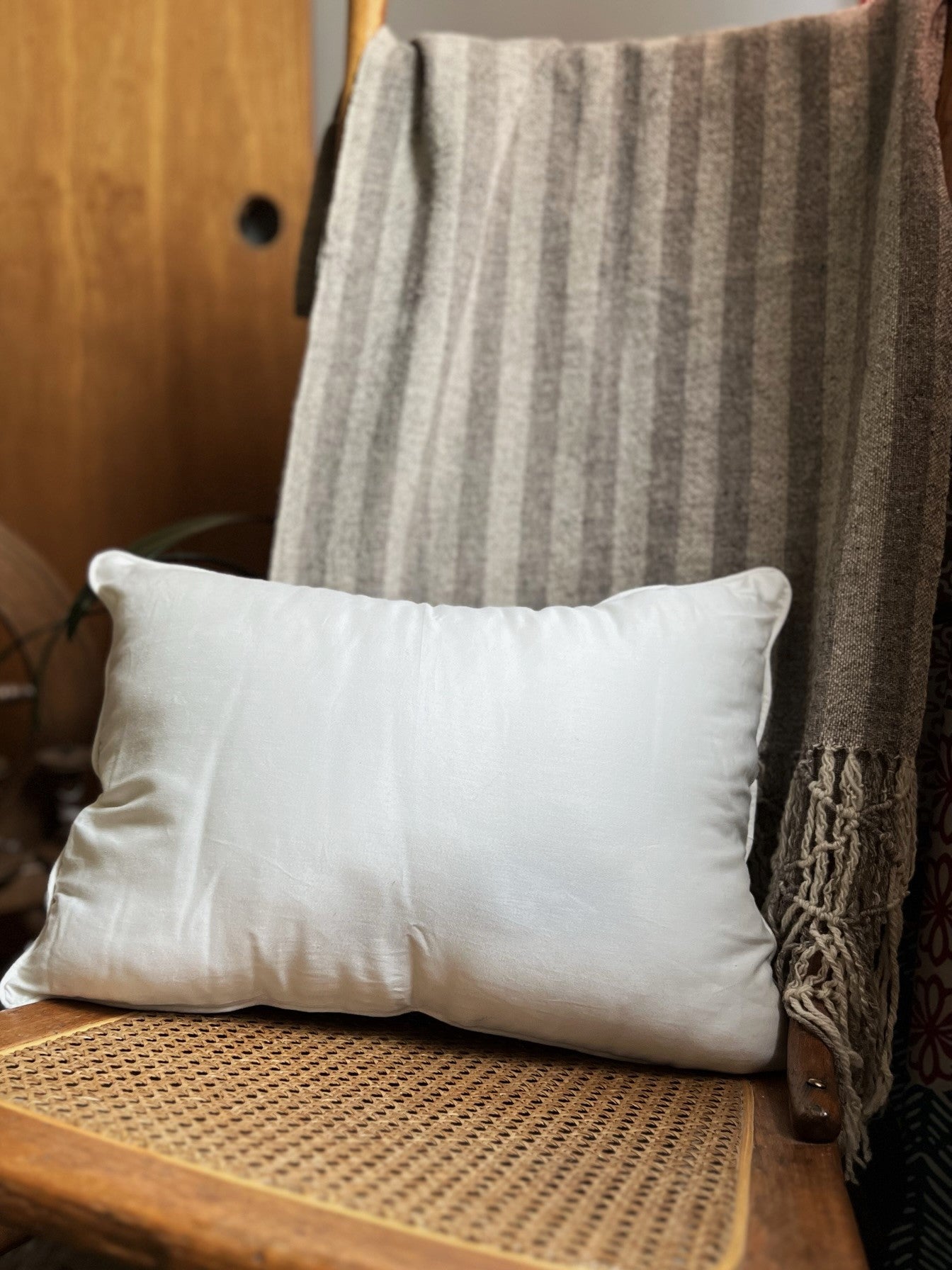 Wool Stuffed Pillow