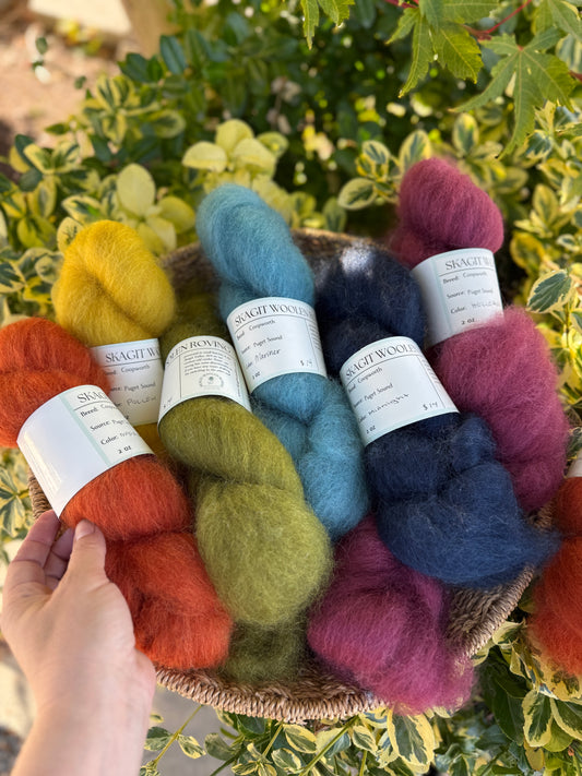 Dyed / Blended Roving - Limited Edition Colors
