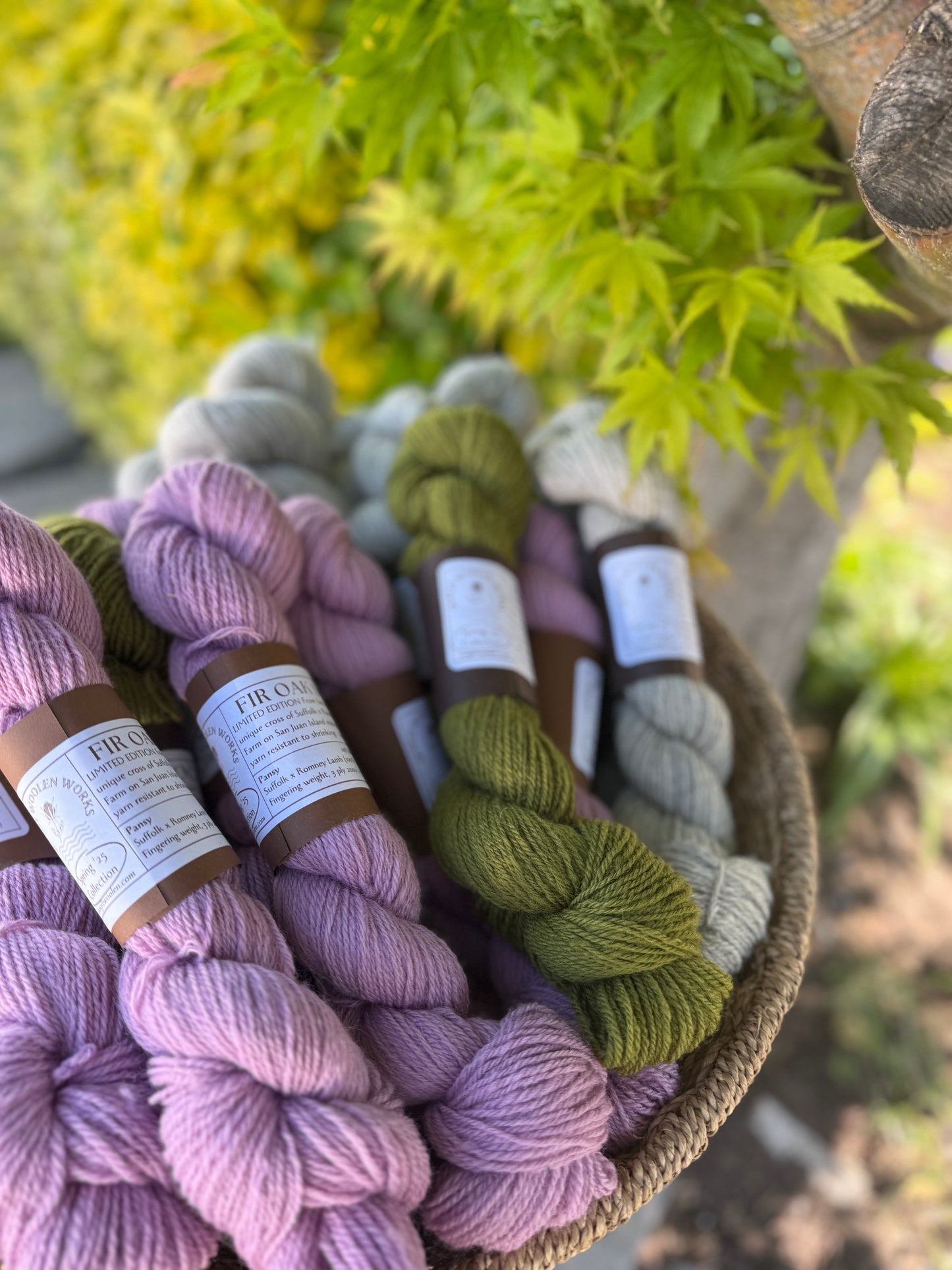 Fir Oak Sock