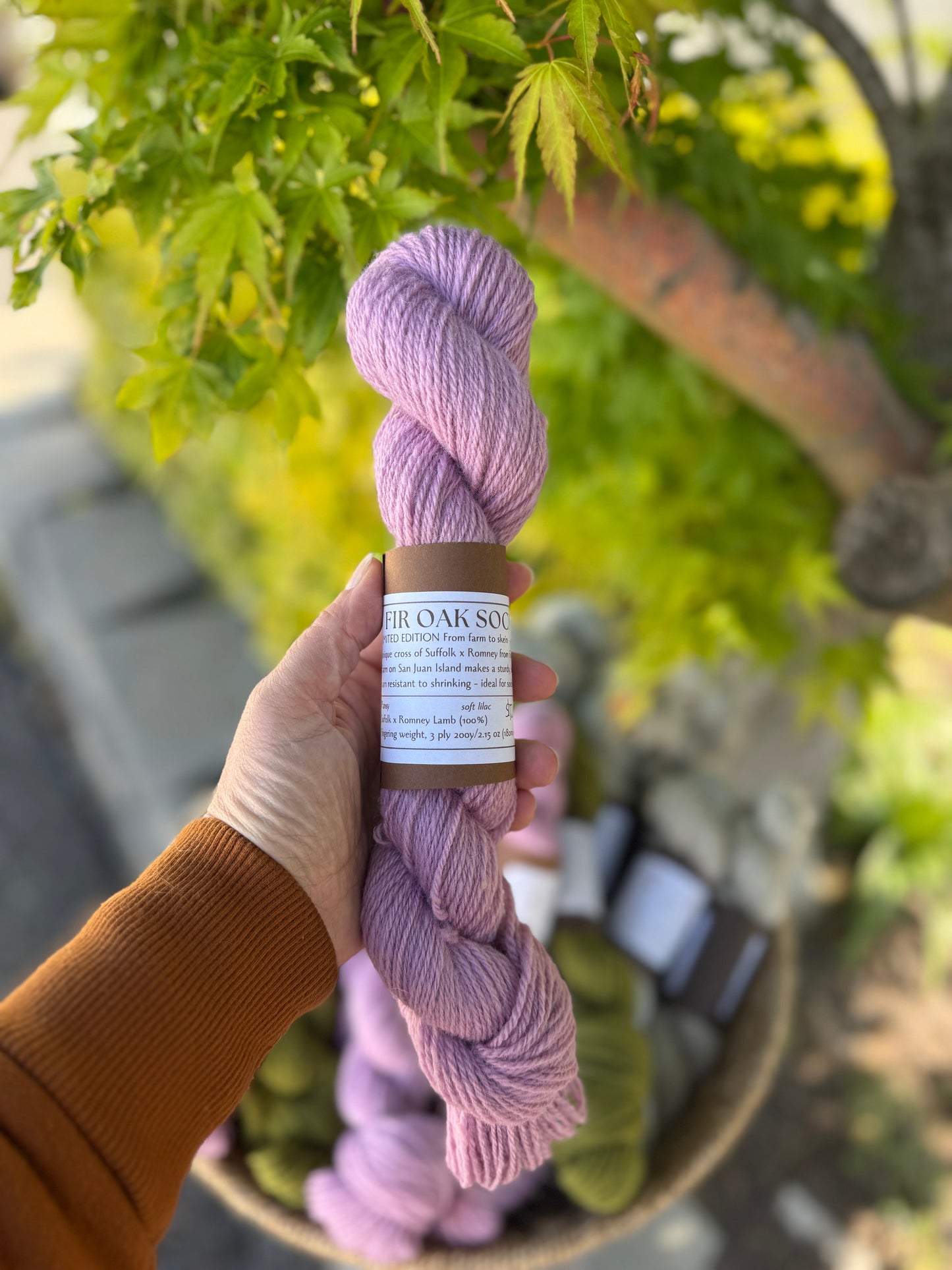 Fir Oak Sock