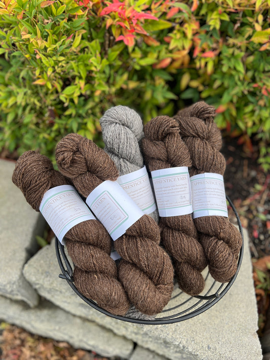 Apprentice Yarn