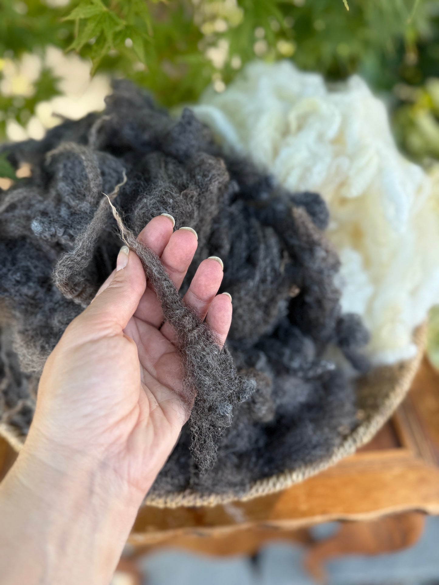 Clean locks (1 oz)