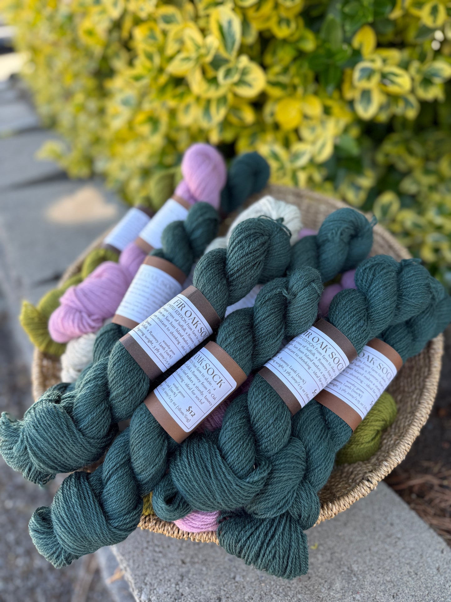 Fir Oak Sock