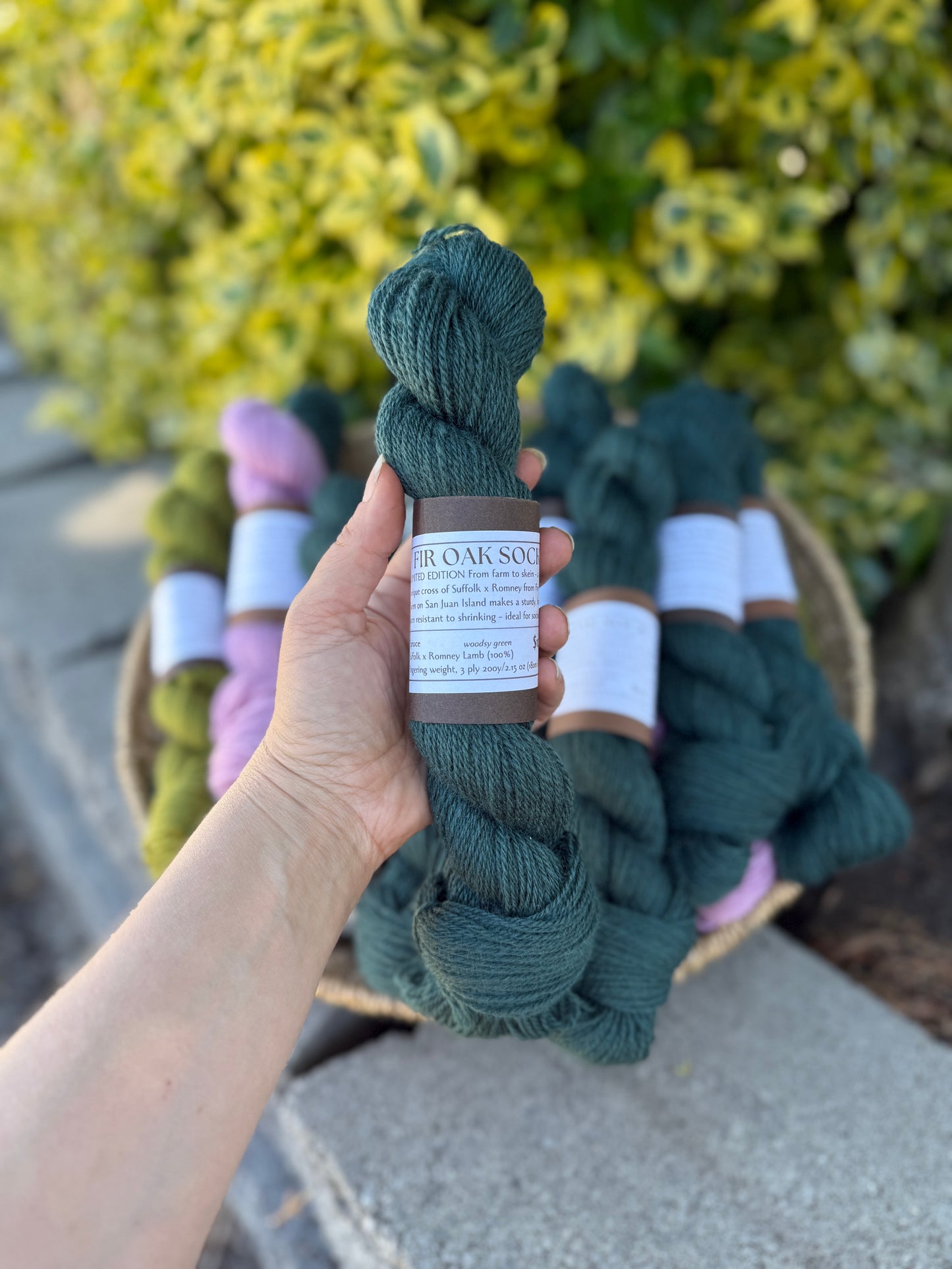 Fir Oak Sock