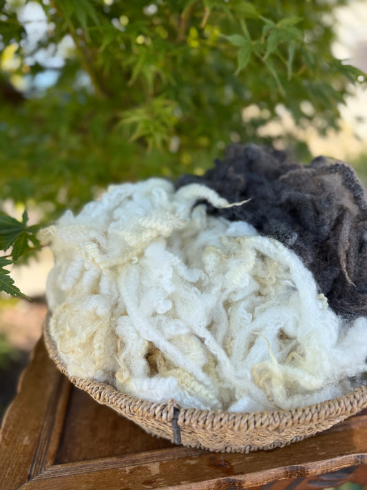 Clean locks (1 oz)