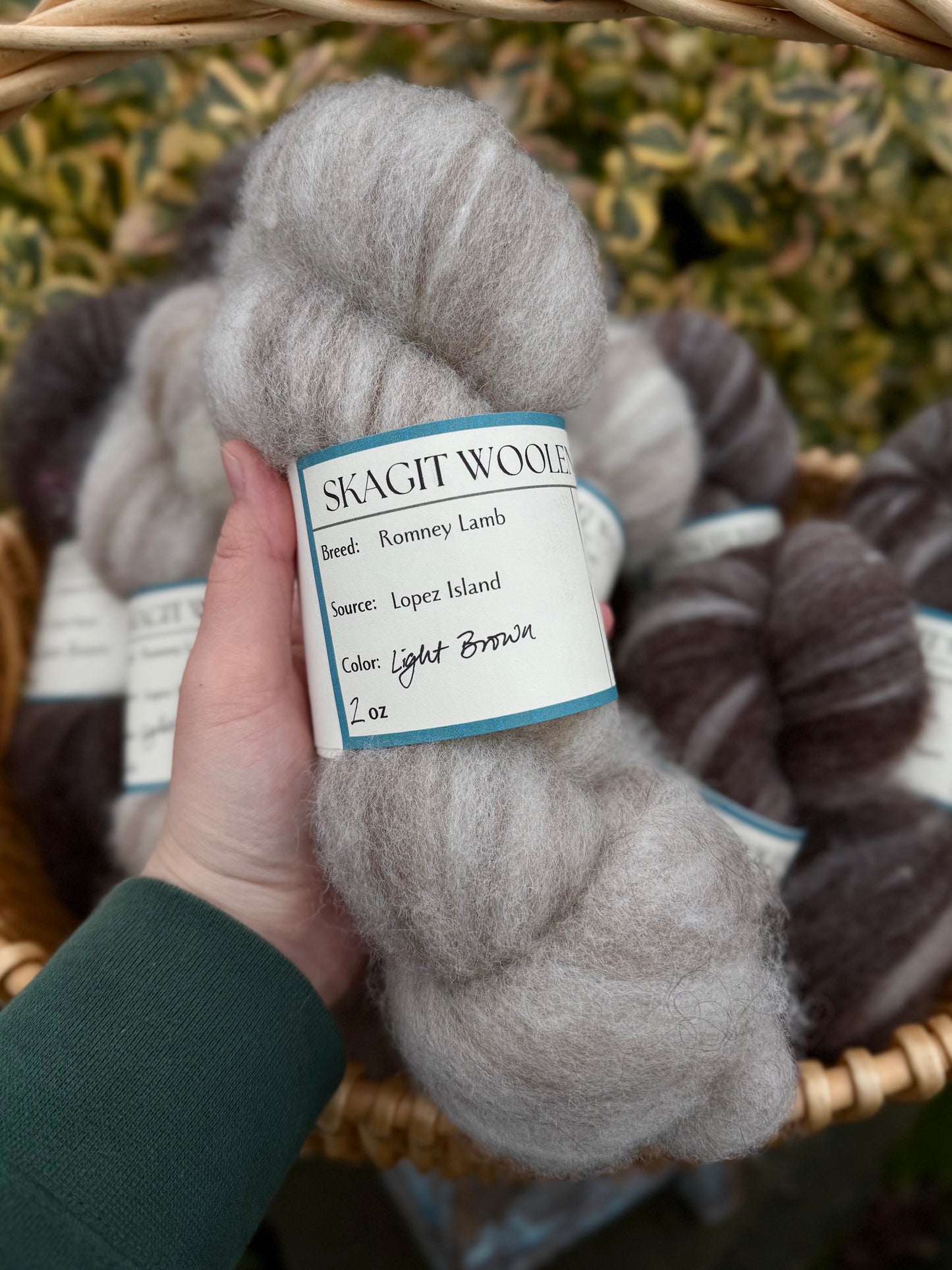 Skagit Woolen Roving