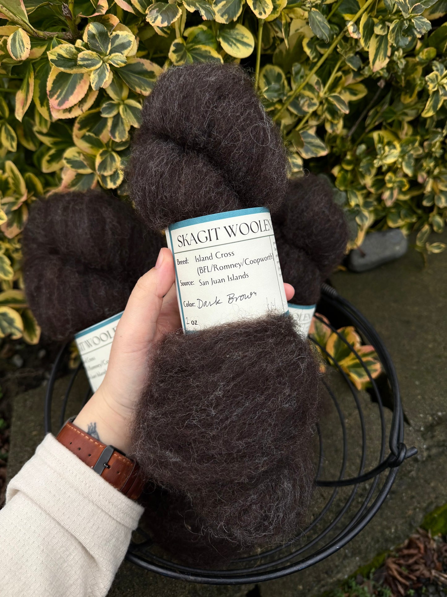 Skagit Woolen Roving