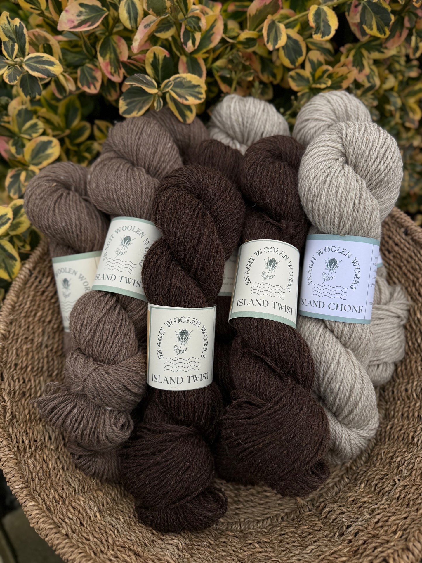 Island Twist Yarn